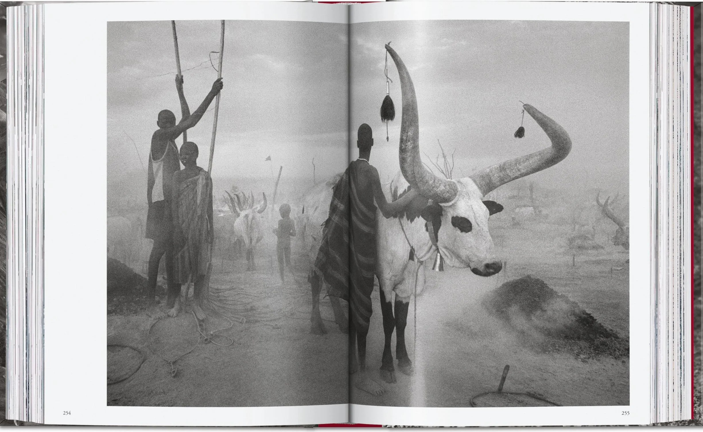 Sebastião Salgado. Genesis. 45th Ed.