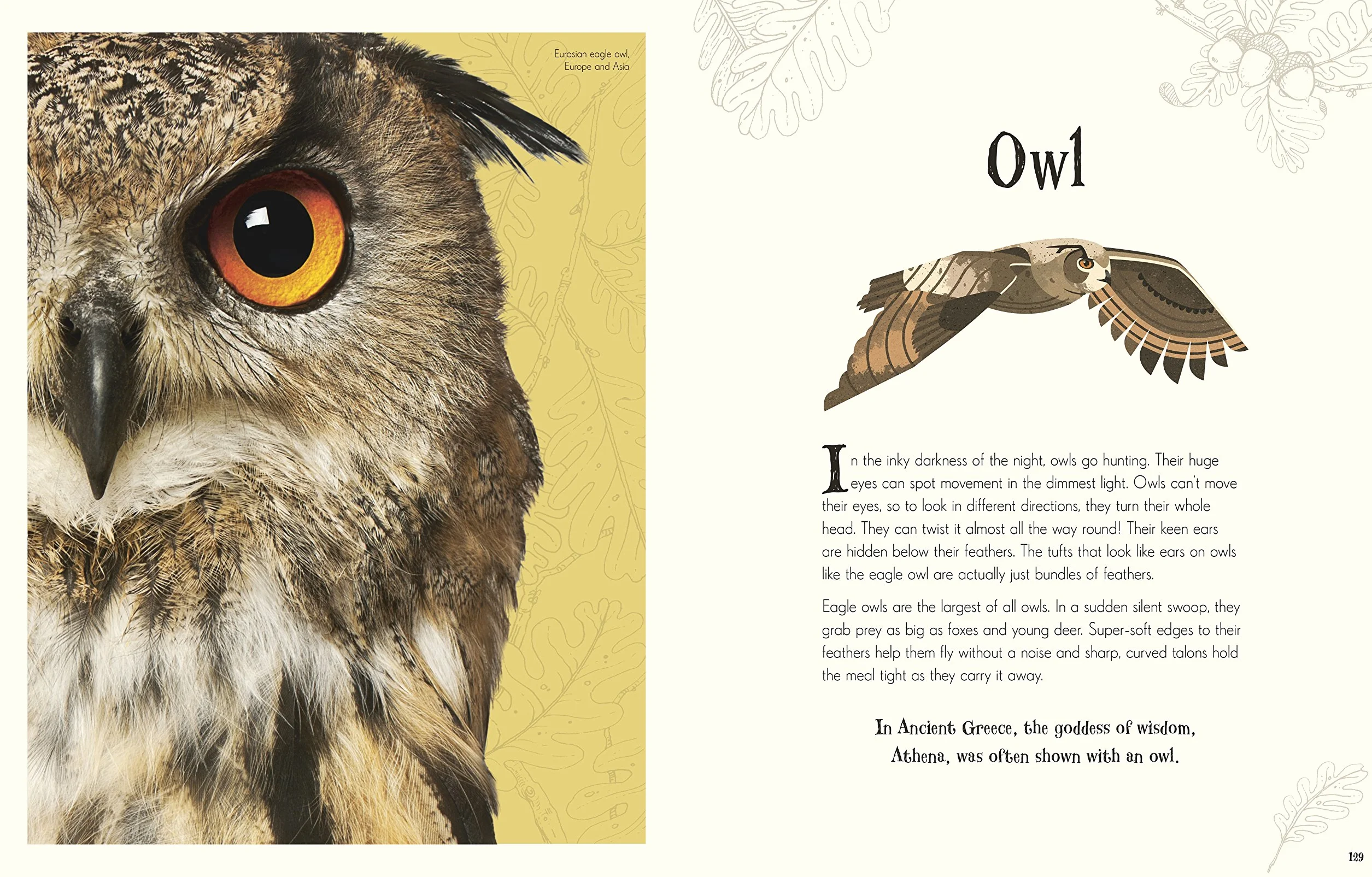 An Anthology of Intriguing Animals (DK Children's Anthologies): Discover the Fascinating Truths of the Animal Kingdom