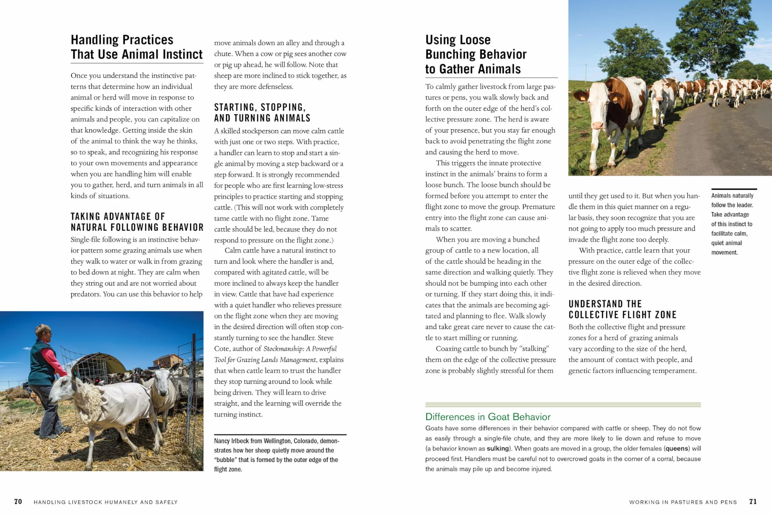 Temple Grandin's Guide to Working with Farm Animals: Safe, Humane Livestock Handling Practices for the Small Farm