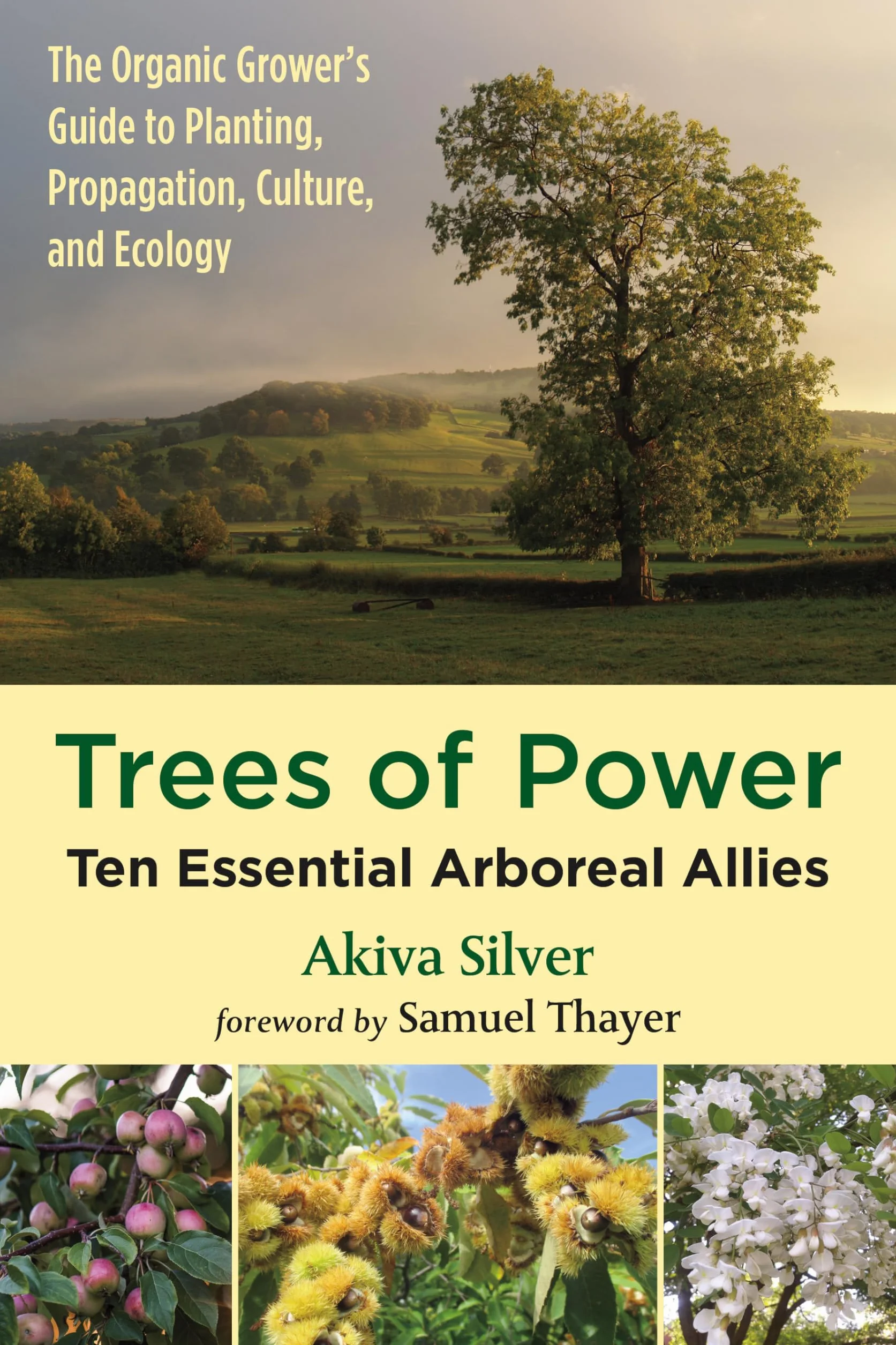 Trees of Power: Ten Essential Arboreal Allies