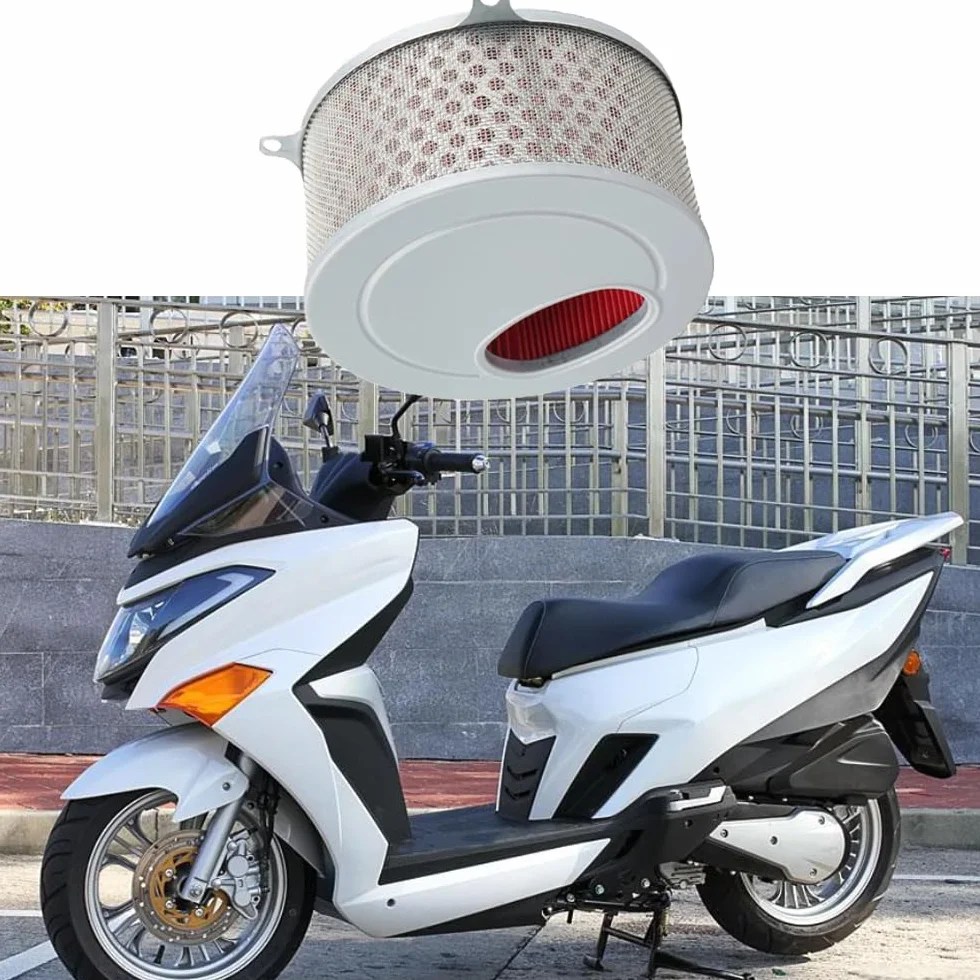 Filtr powietrza motocyklowy Daelim Daystar VL125 17213-BA1-0000