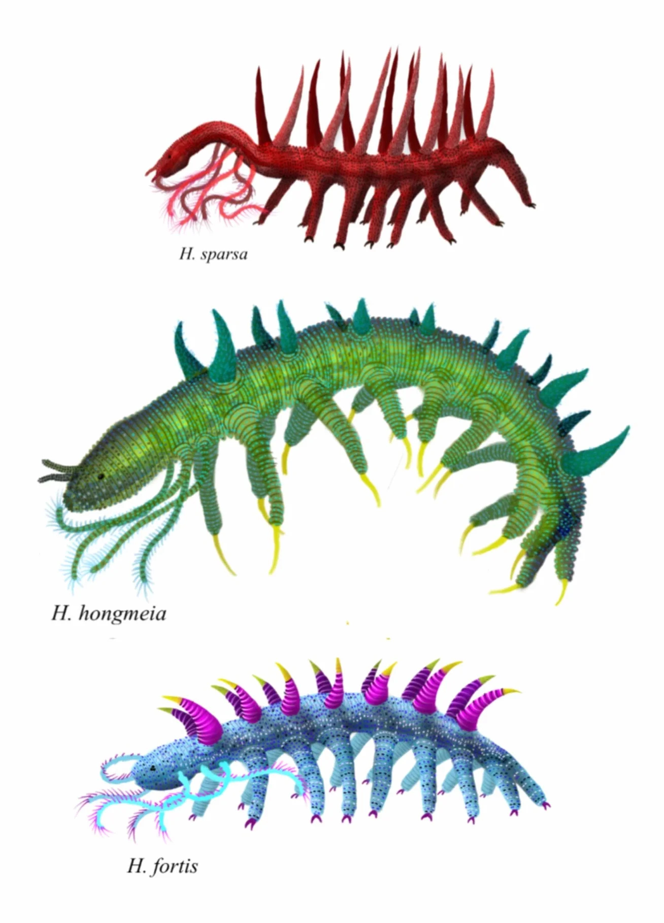 The Zoologists Guide to the Galaxy: What Animals on Earth Reveal About Alens - and Ourselves