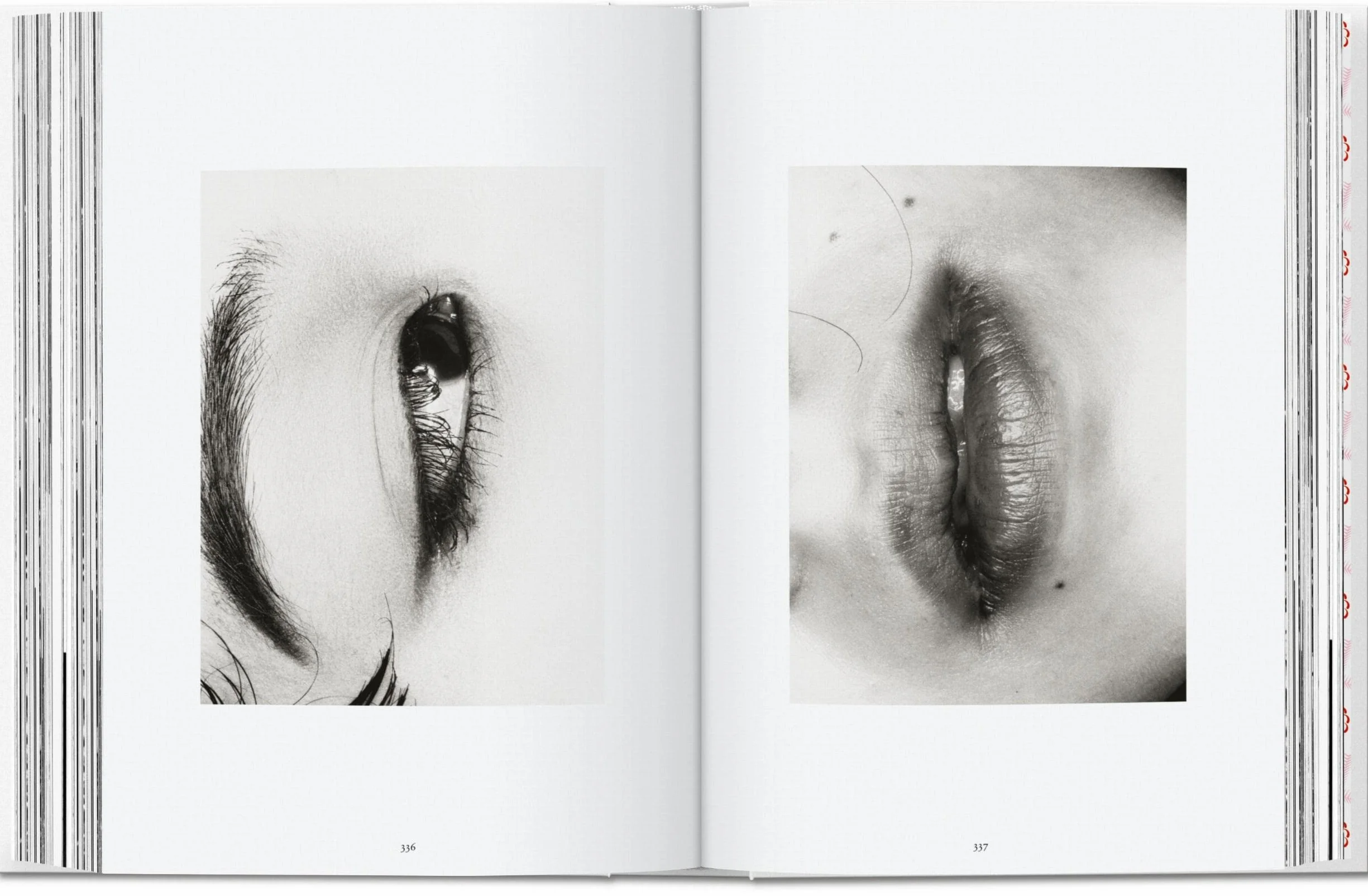 Nobuyoshi Araki: (40th Anniversary Edition): 45th Ed.