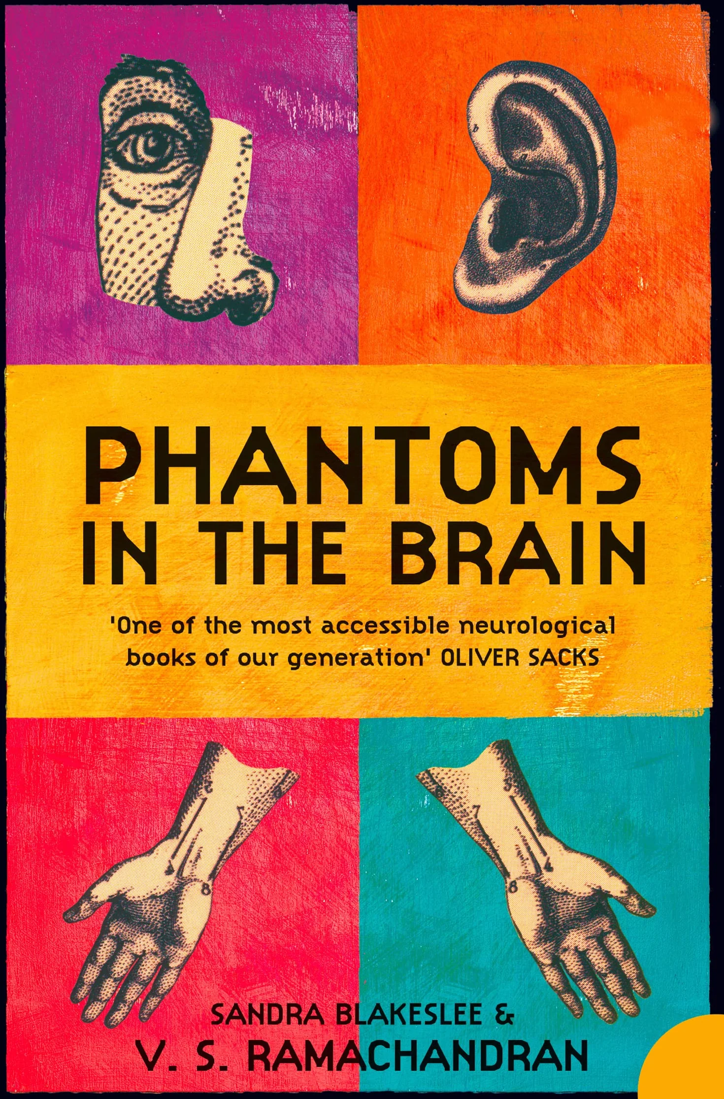 Phantoms in the Brain: Human Nature and the Architecture of the Mind