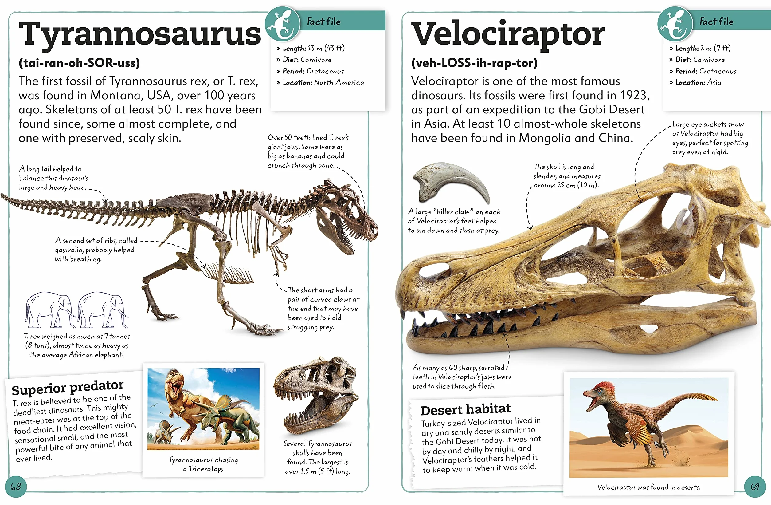 My Book of Fossils: A fact-filled guide to prehistoric life