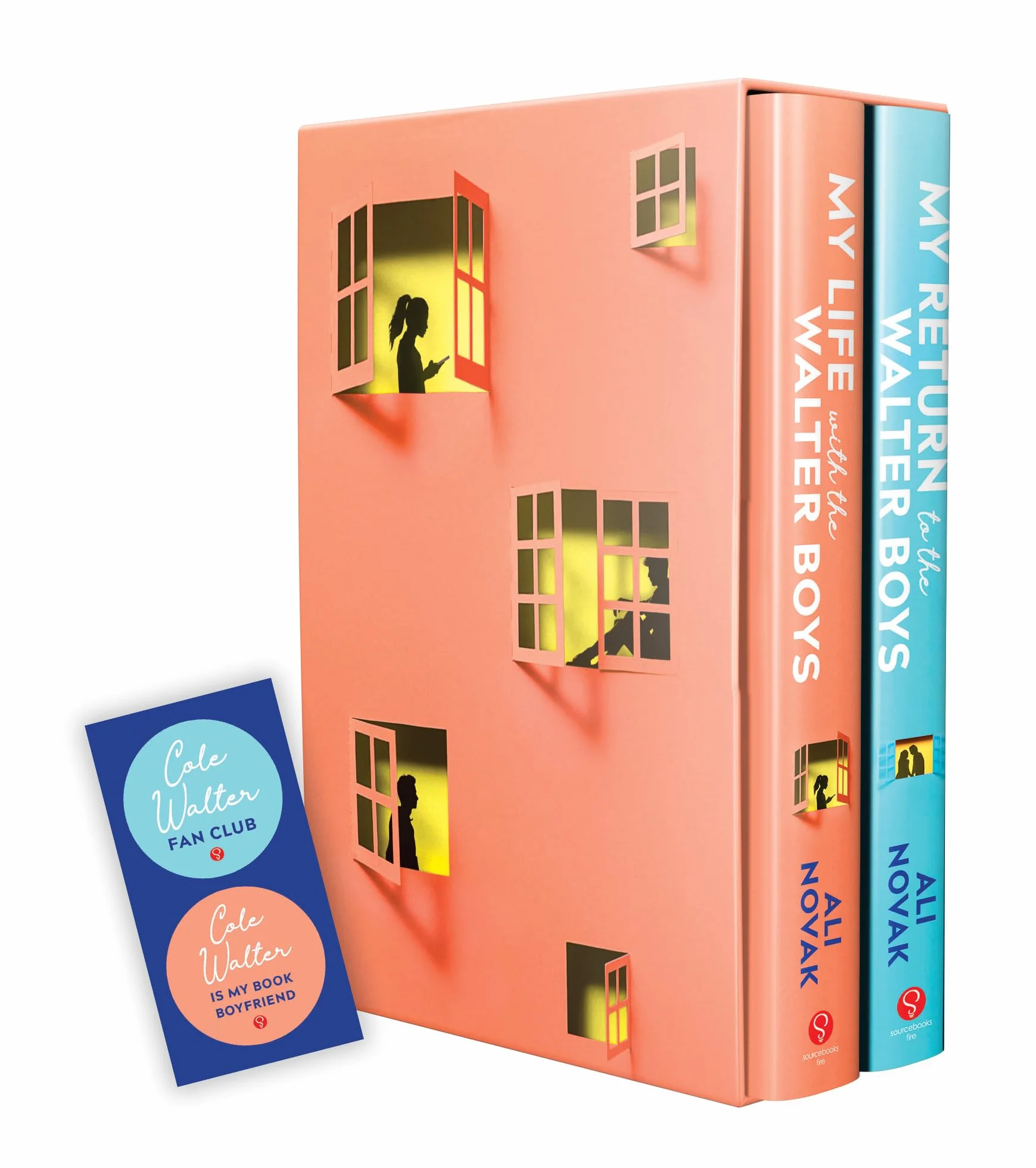The My Life with the Walter Boys Boxed Set: My Life with the Walter Boys and My Return to the Walter Boys
