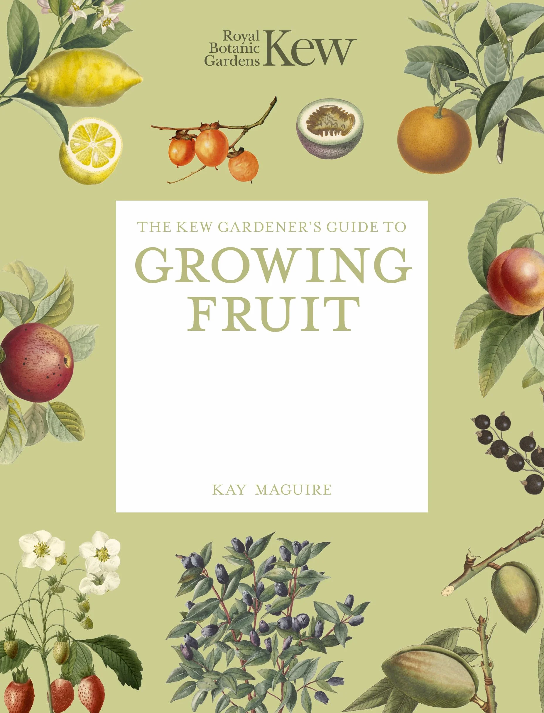 The Kew Gardener's Guide to Growing Fruit: Paperback Reissue
