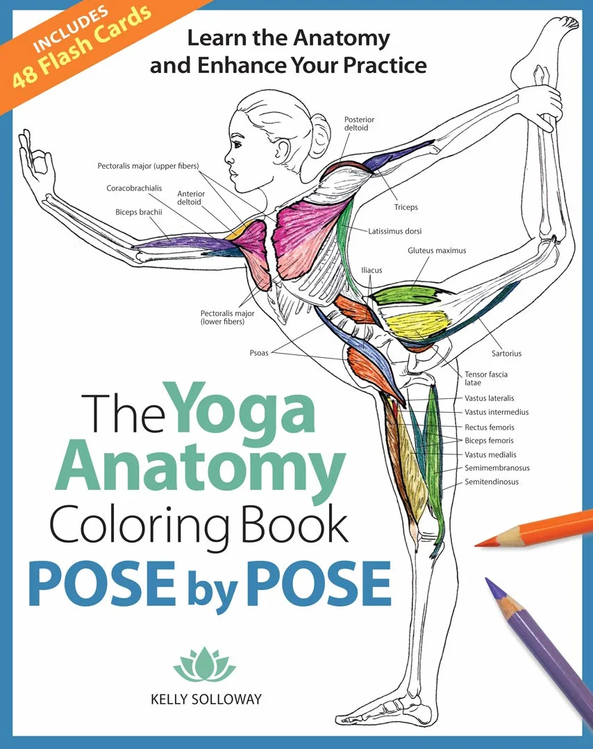 The Yoga Anatomy Coloring Book: Pose by Pose: Learn the Anatomy and Enhance Your Practice - An Educational Anatomy Coloring Book for Yoga Teachers, Medical Students, & Adults (Volume 2)