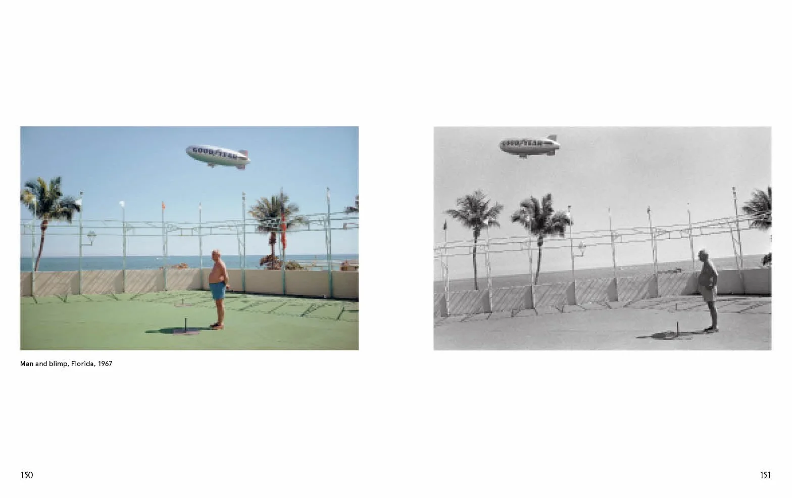 Joel Meyerowitz : A Question of Colour /anglais