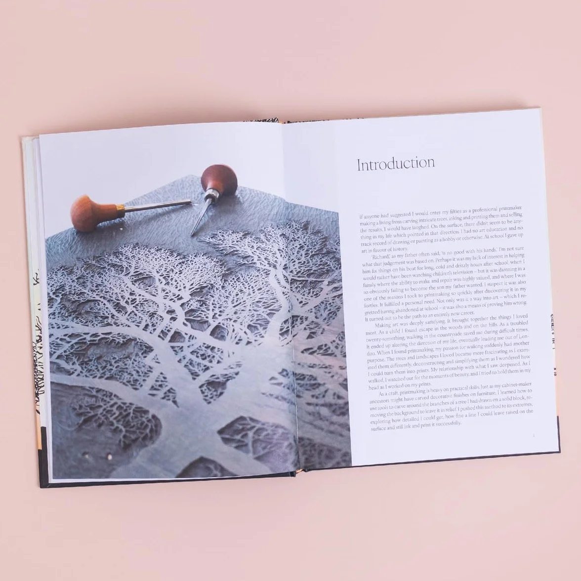 Trees in Winter: A Beautiful Book for Anyone Who Loves Printmaking and Nature