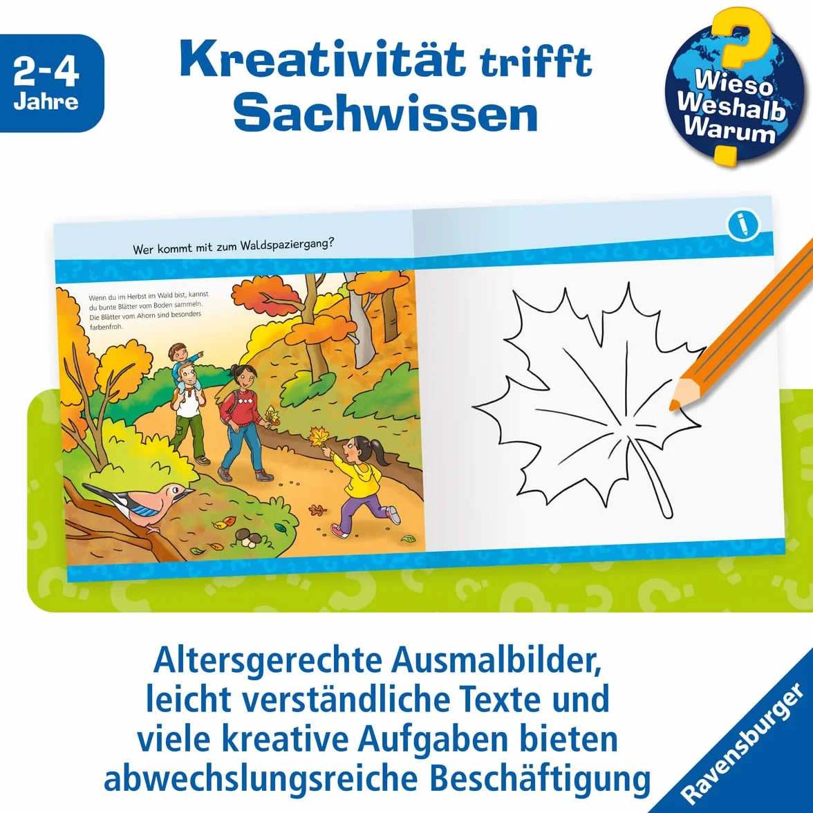 Wieso? Weshalb? Warum? junior AKTIV - Im Wald