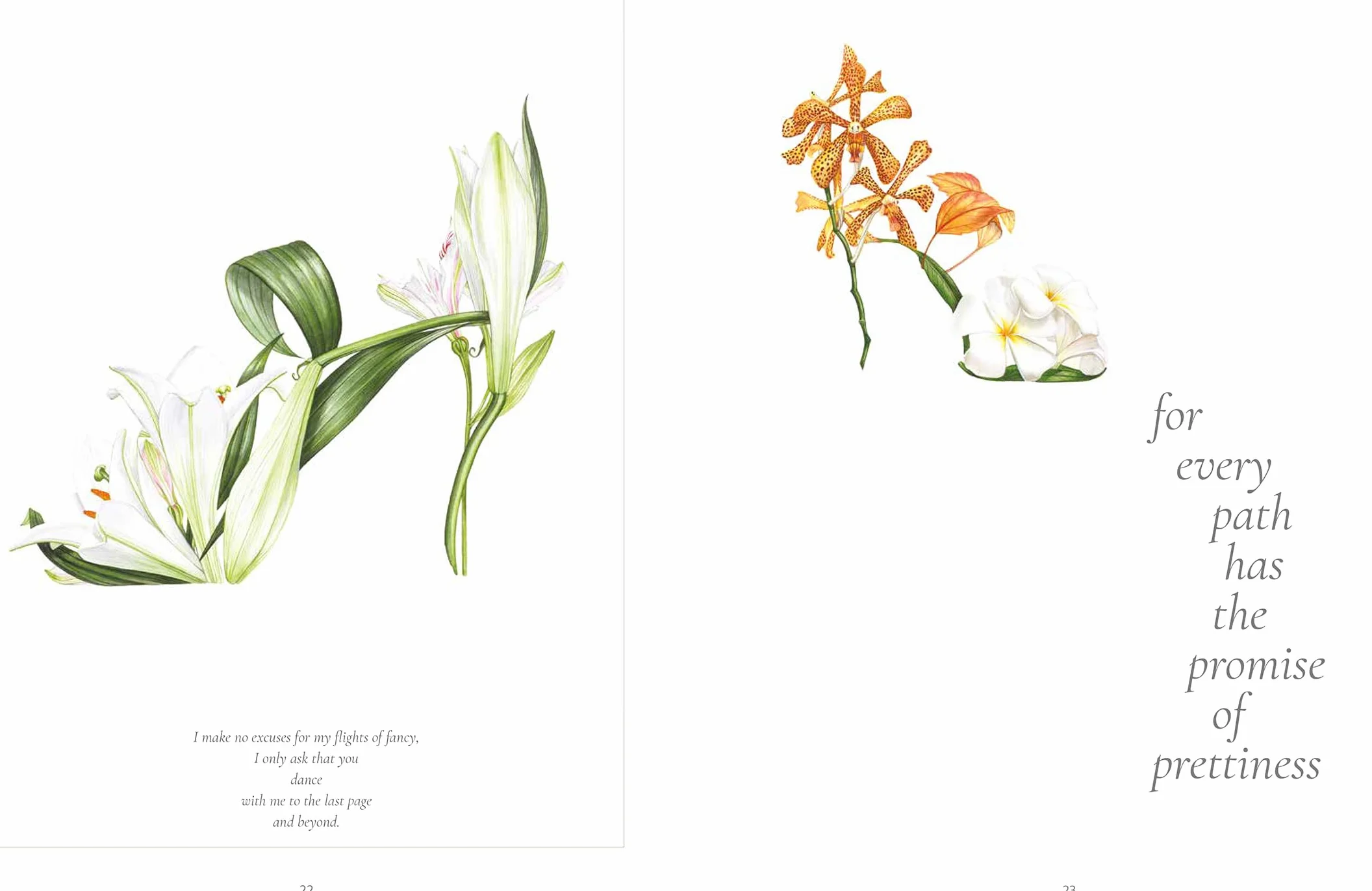 The Botanical Shoes: A Collection of Botanical Shoe Paintings in Watercolour and Words