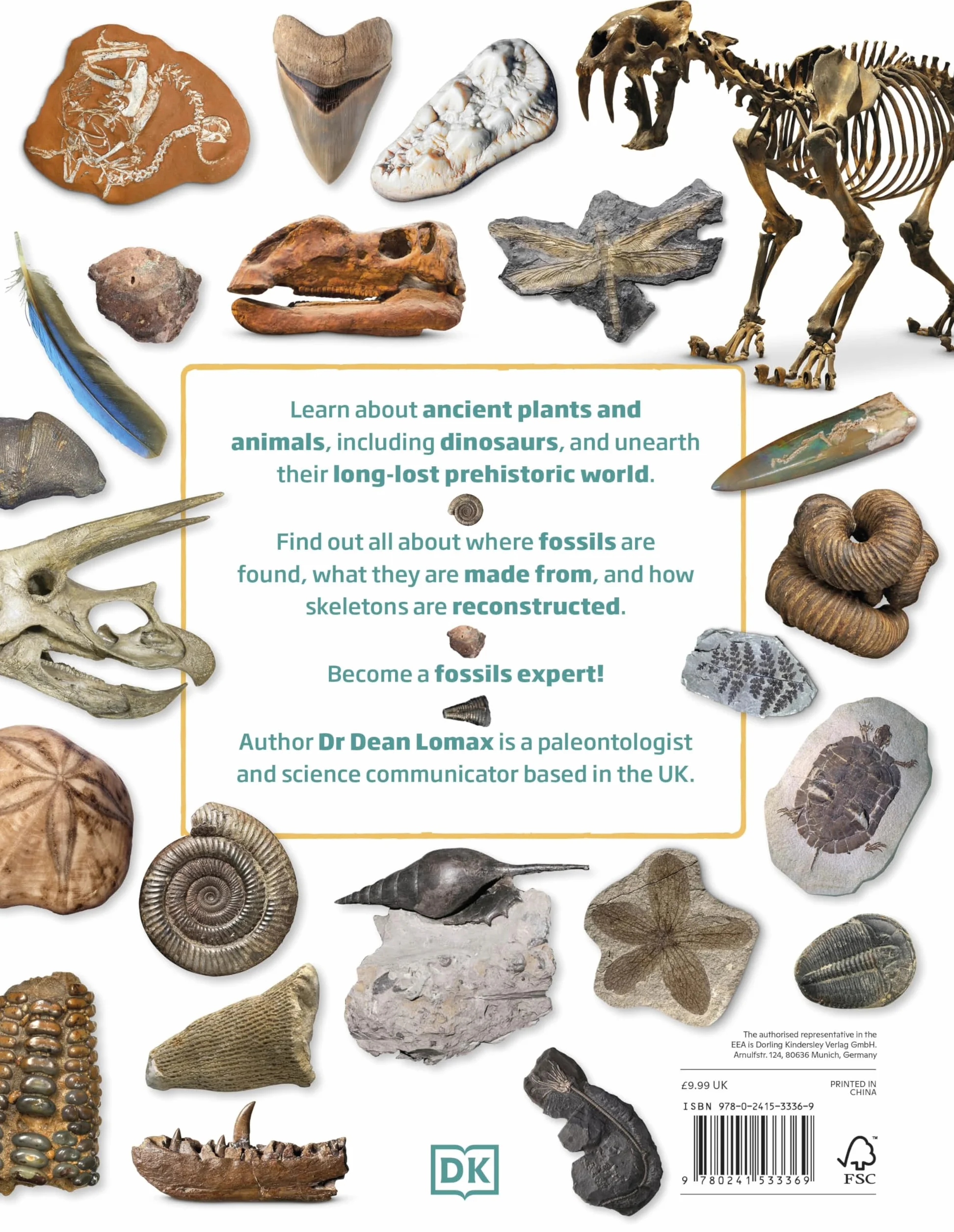 My Book of Fossils: A fact-filled guide to prehistoric life