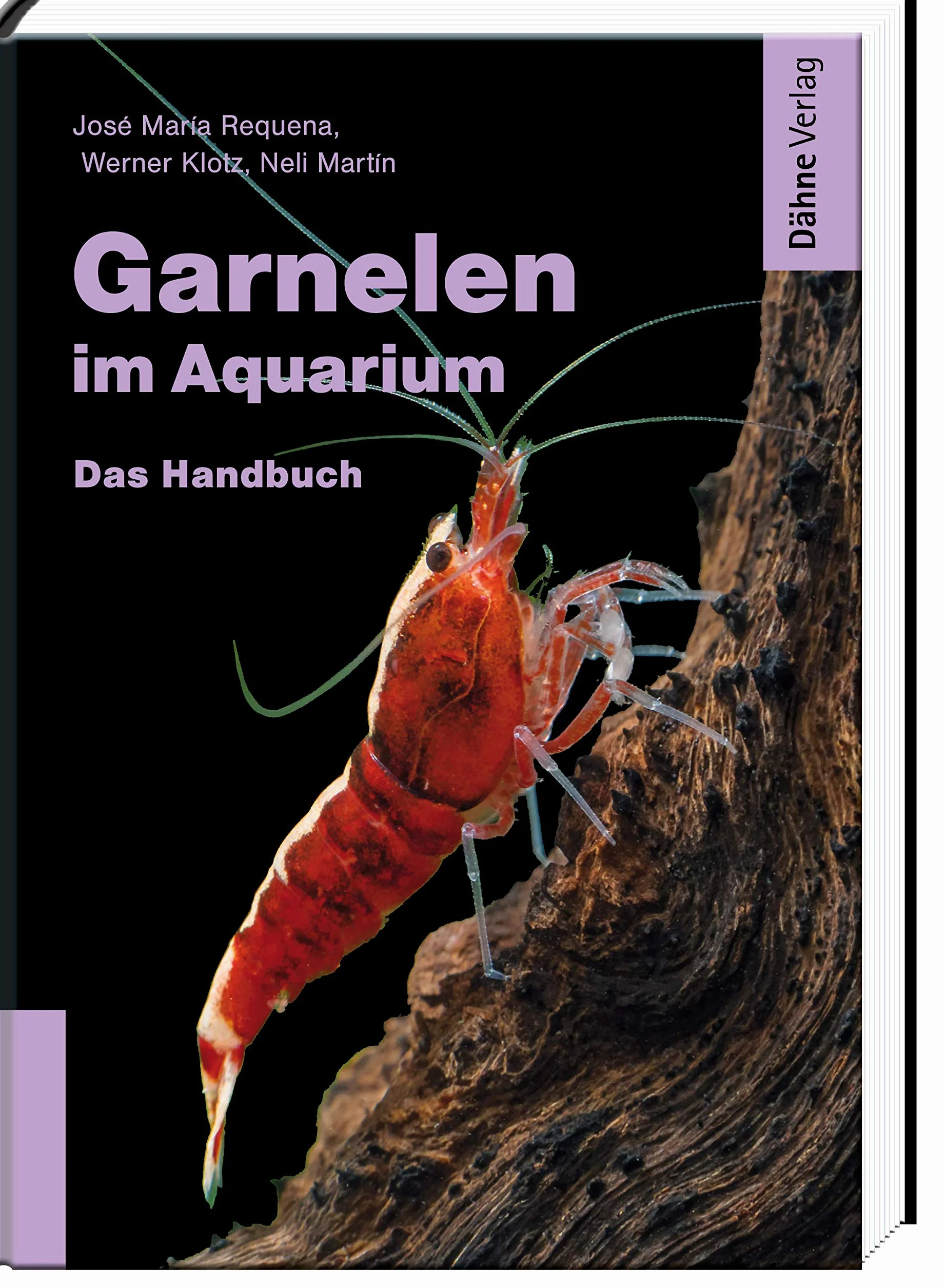 Garnelen im Aquarium: Das Handbuch
