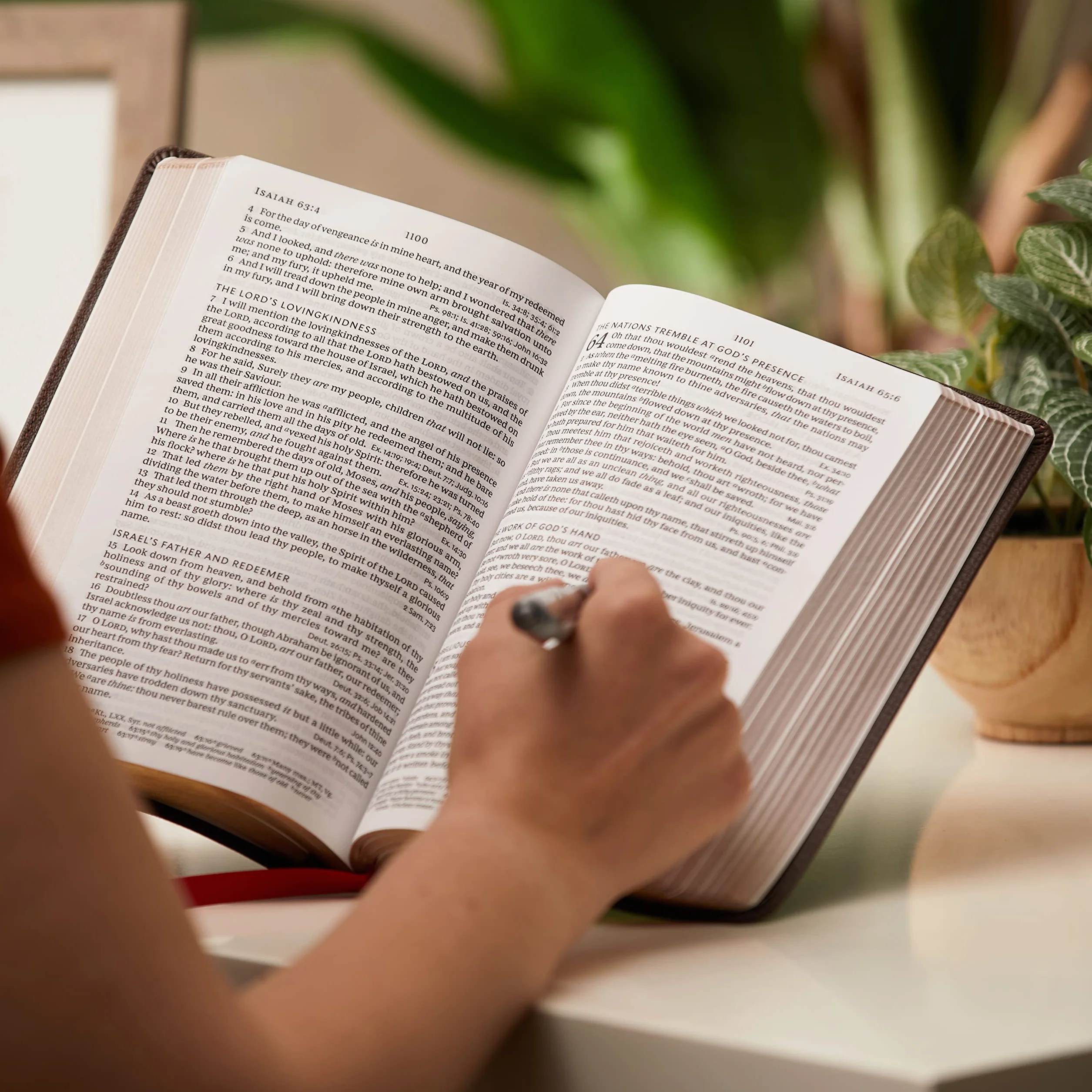 KJV Holy Bible: Large Print Single-Column with 43,000 End-Of-Verse Cross References, Brown Leathersoft, Personal Size, Red Letter, Comfort Print: King James Version: Holy Bible, King James Version