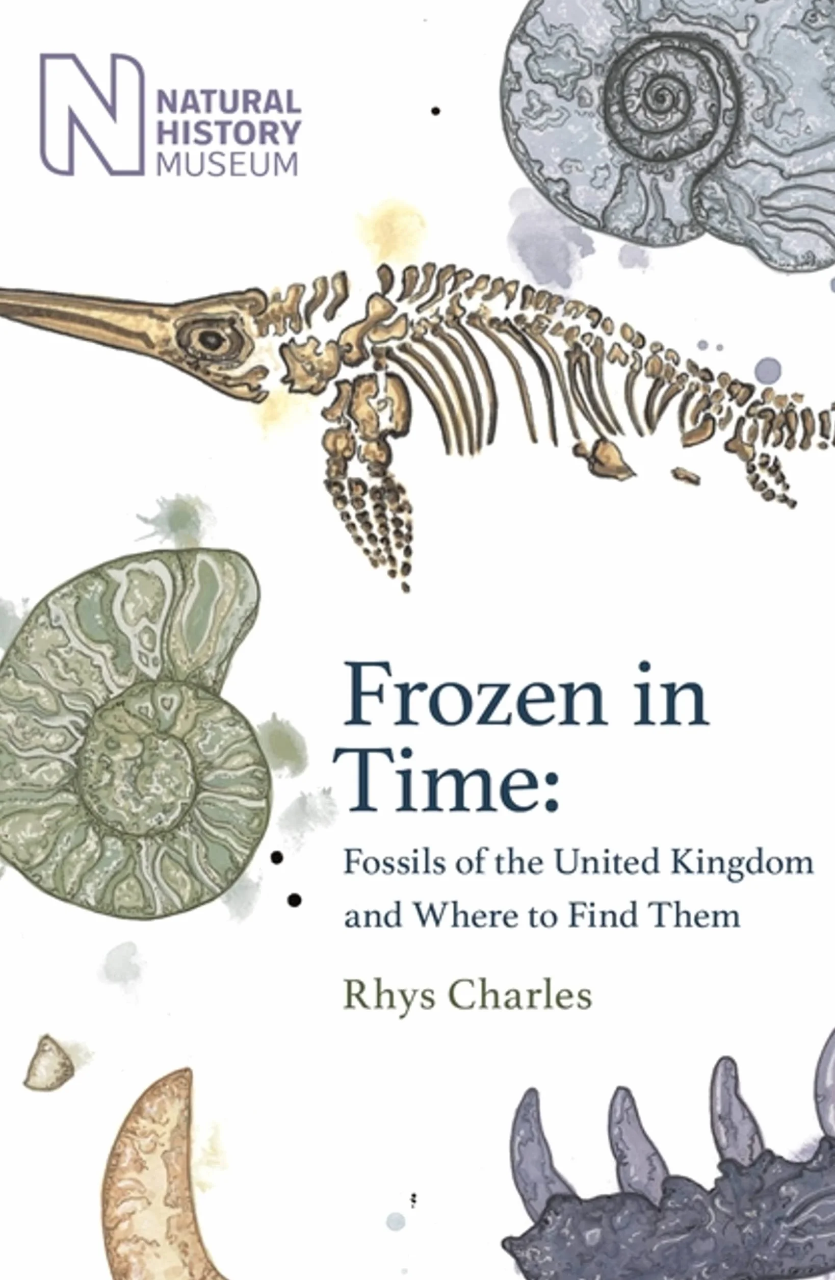 Frozen in Time: Fossils of Great Britain and Where to Find Them