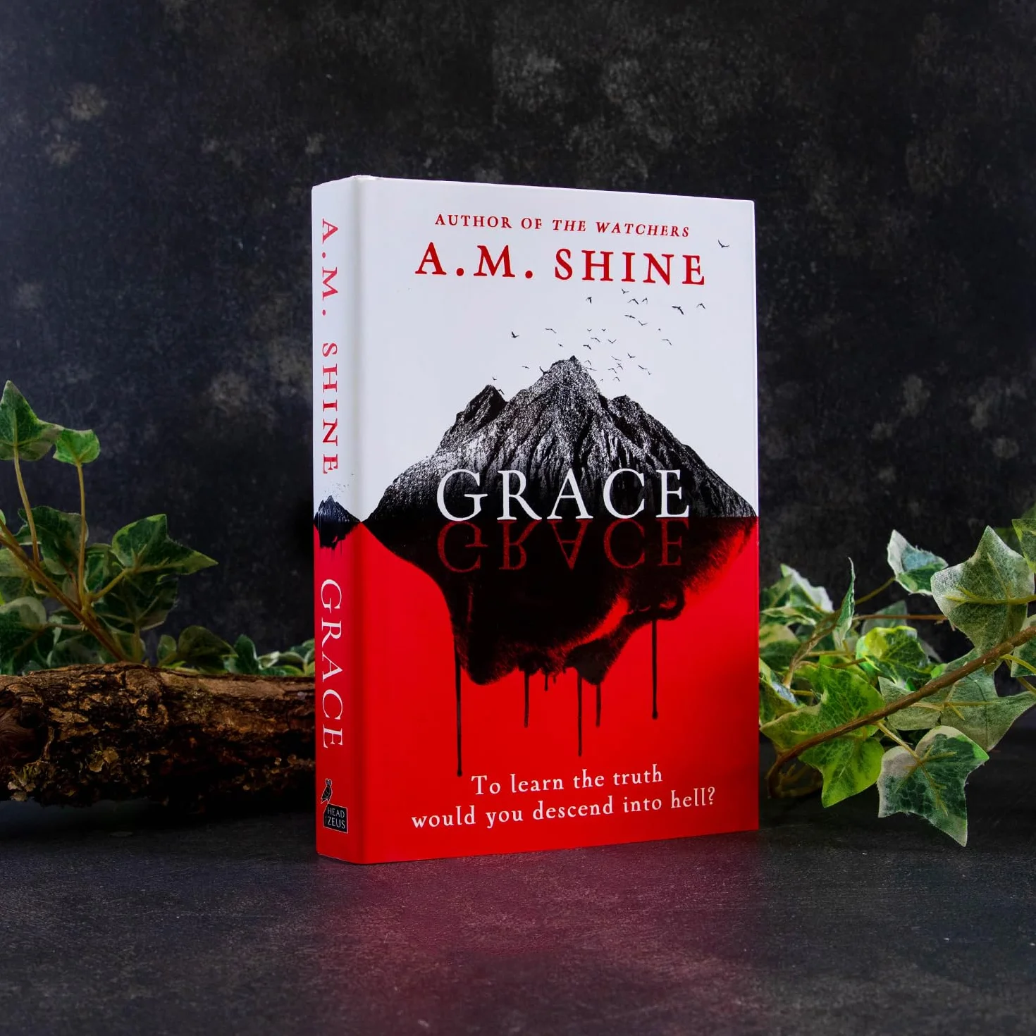 Grace: an edge-of-your-seat horror novel from the author of The Watchers