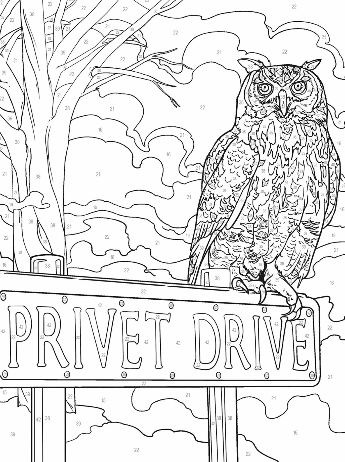 Harry Potter au numéro: Colorie les chiffres et découvre l'image