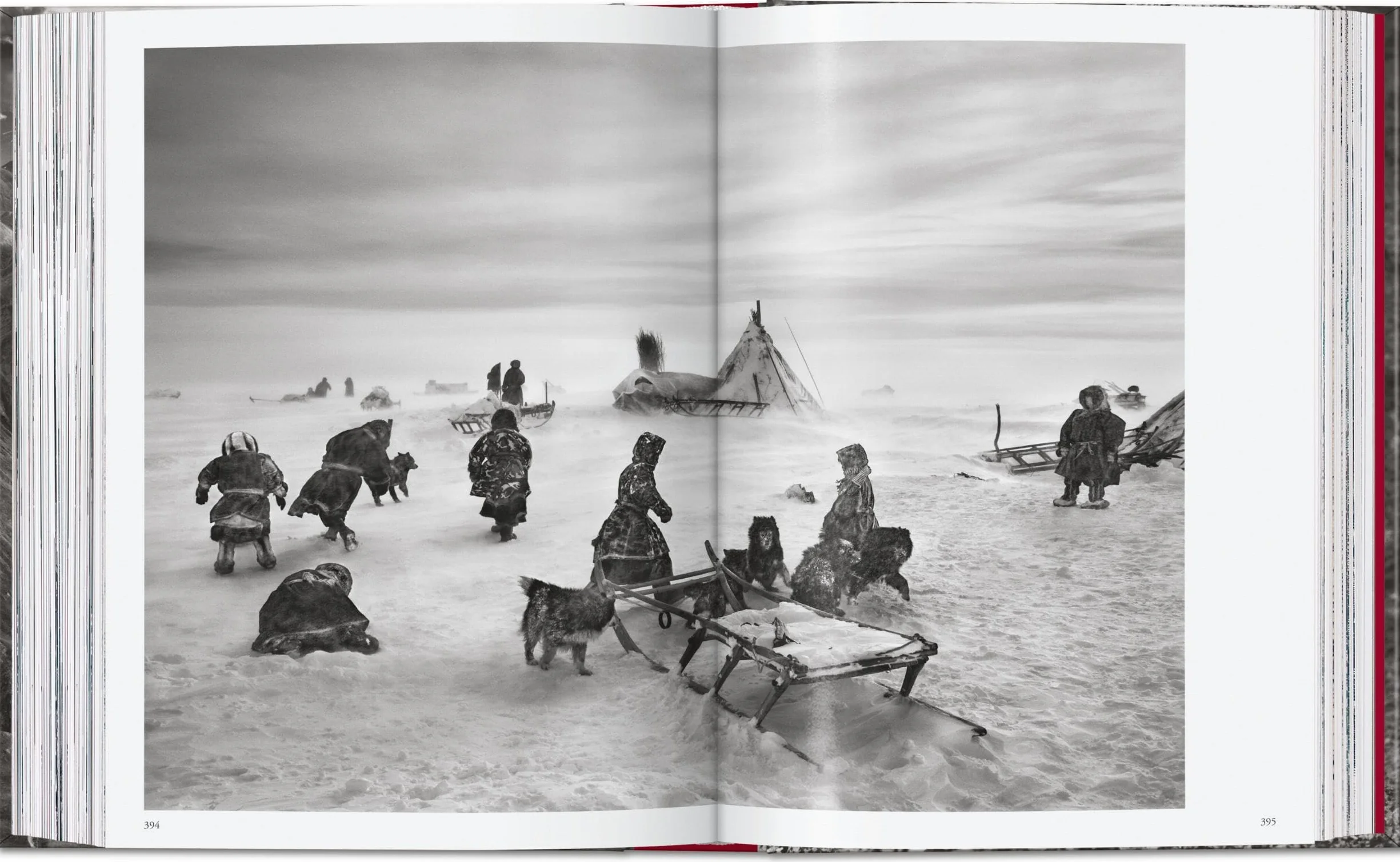 Sebastião Salgado. Genesis. 45th Ed.