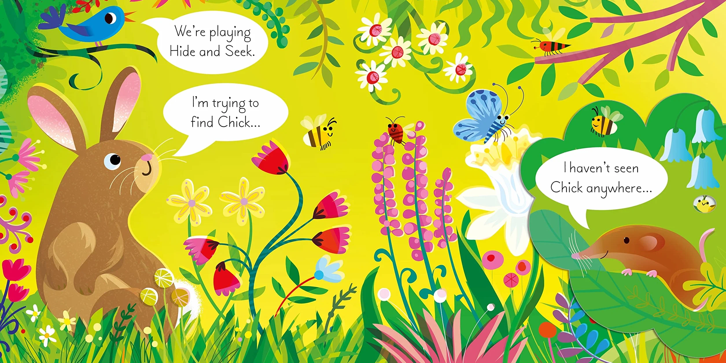 Play Hide and Seek with Bunny (Play Hide & Seek, 4)
