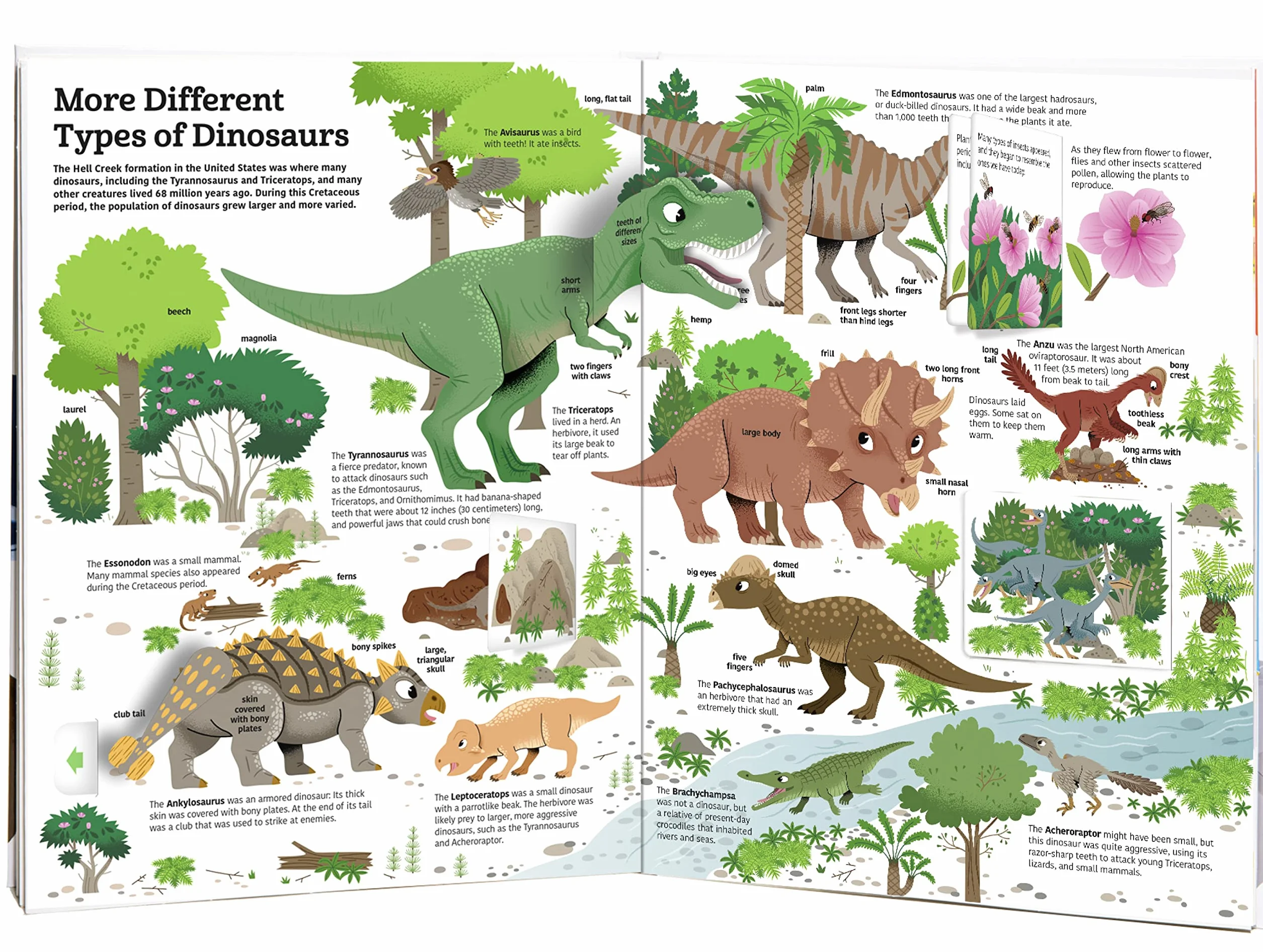 The Ultimate Book of Dinosaurs and Other Prehistoric Creatures: Lift-the-Flap Book: 10