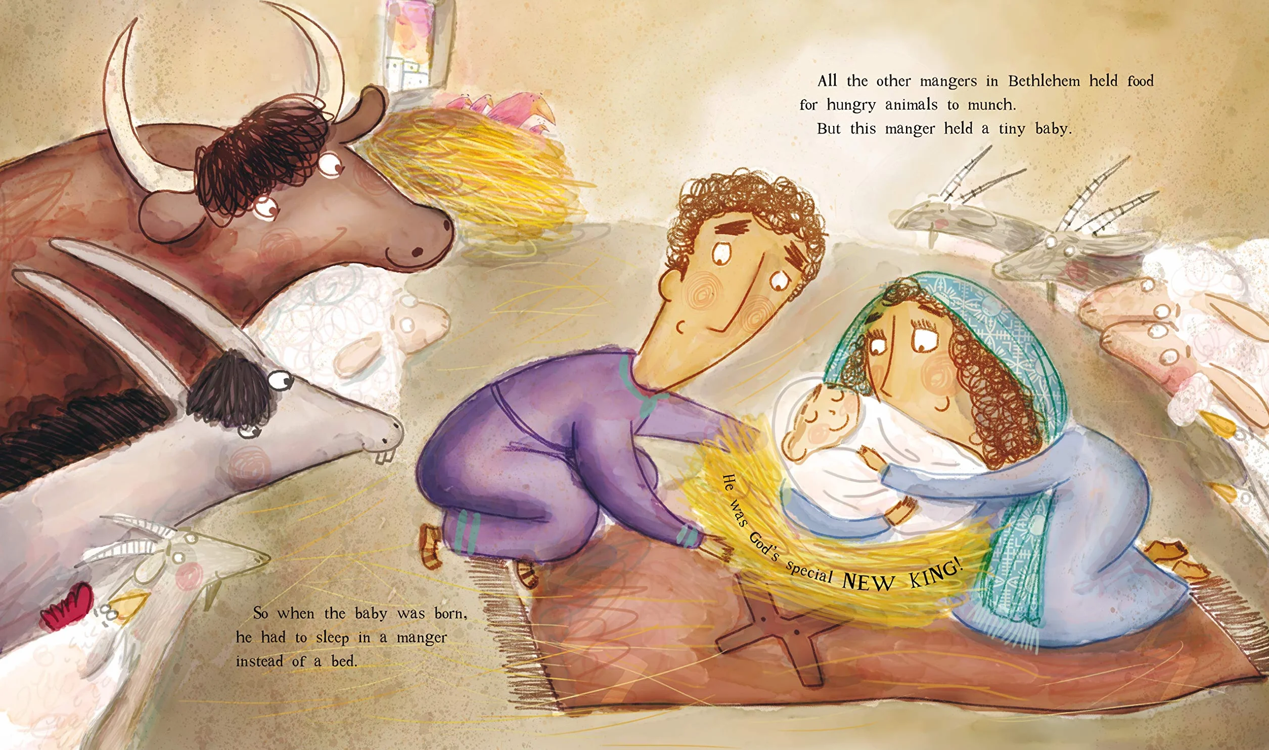 The Christmas Promise Storybook: A True Story from the Bible about God's Forever King