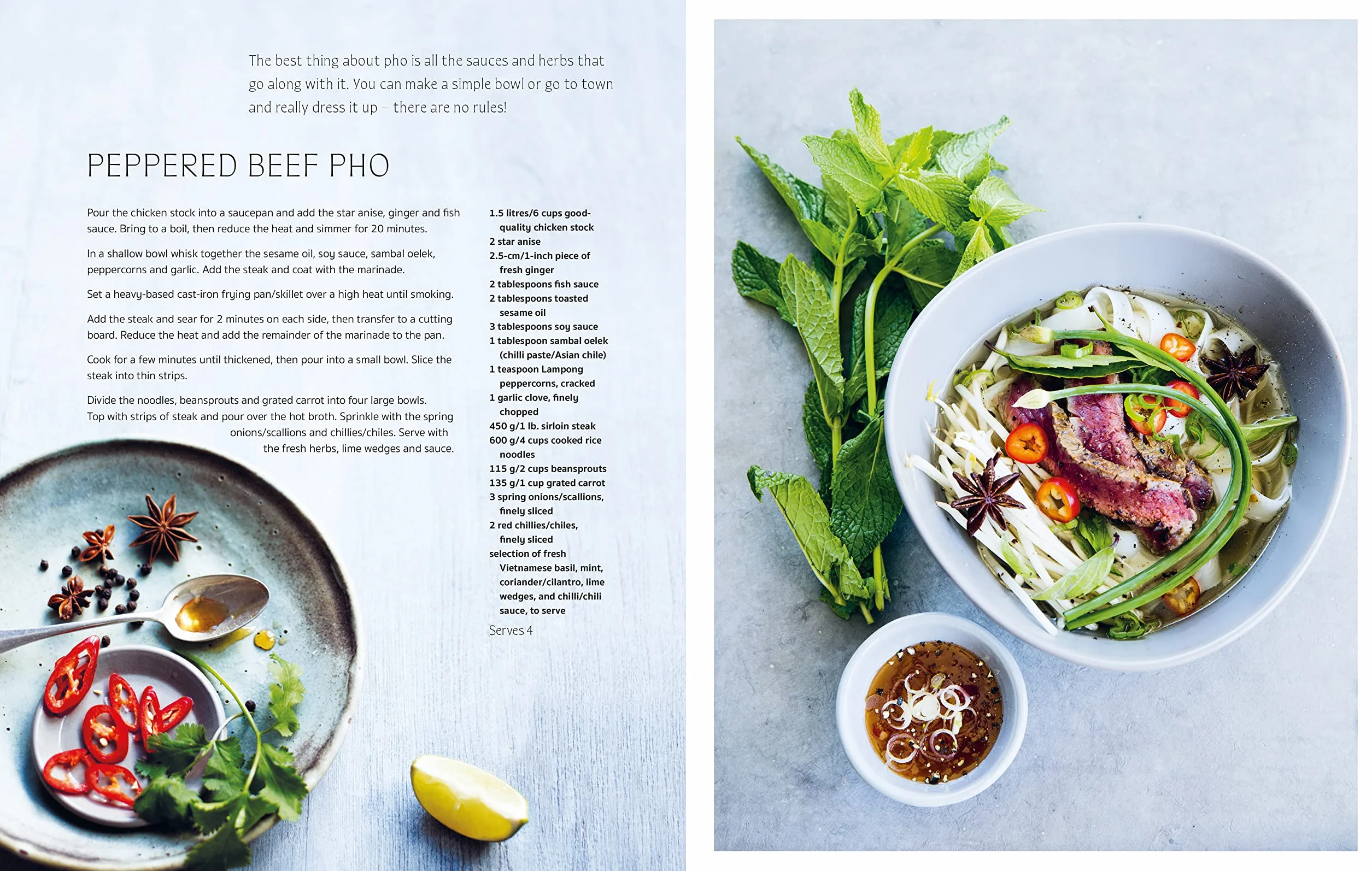 Bibimbap: And Other Asian-Inspired Rice & Noodle Bowl Recipes