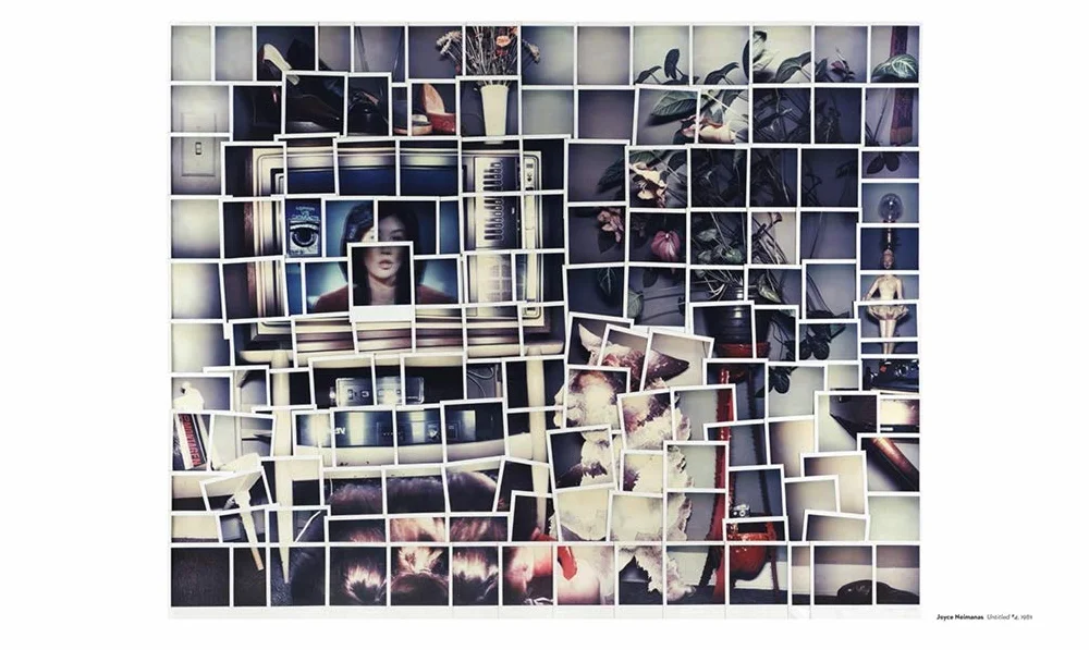 The Polaroid Project: At the Intersection of Art and Technology