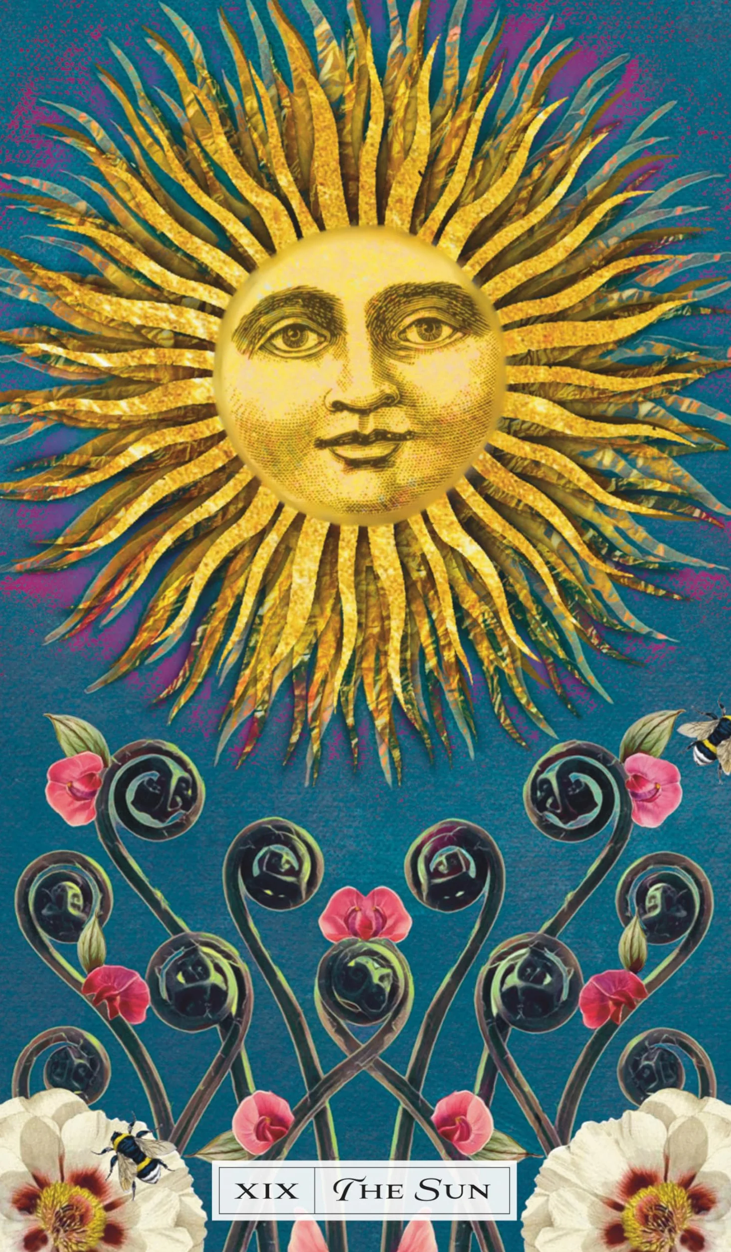 Tarot of the Cosmic Seed: (79 Full-Color Cards and 80 Page Booklet)