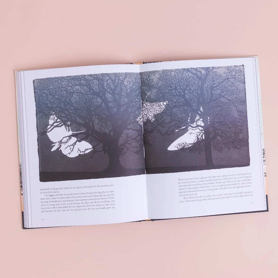 Trees in Winter: A Beautiful Book for Anyone Who Loves Printmaking and Nature