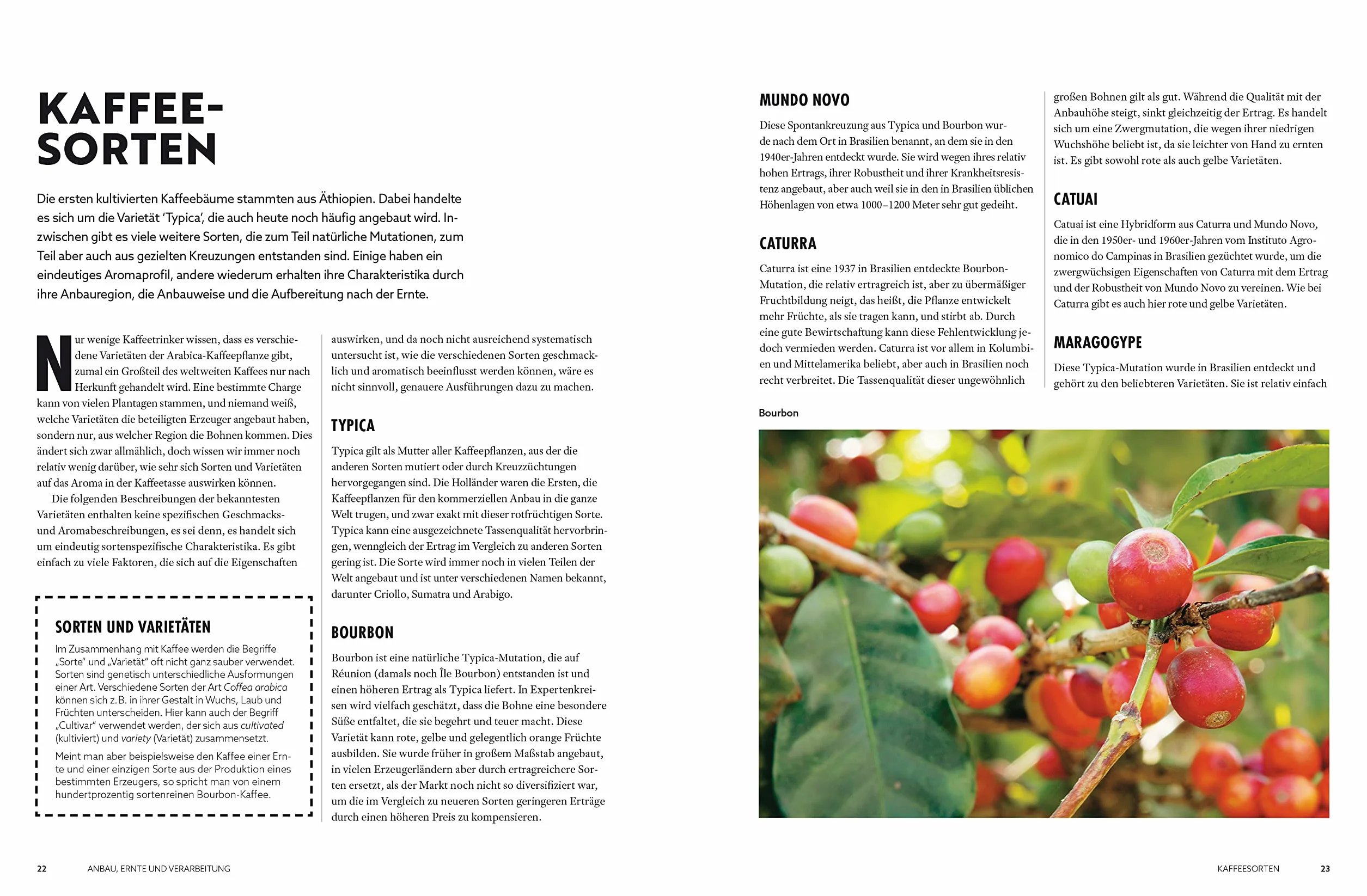 Der Kaffeeatlas: Von der Bohne bis in die Tasse alles über Kaffeegenuss - Die Welt des Spitzenkaffees in komplett aktualisierter Neuauflage