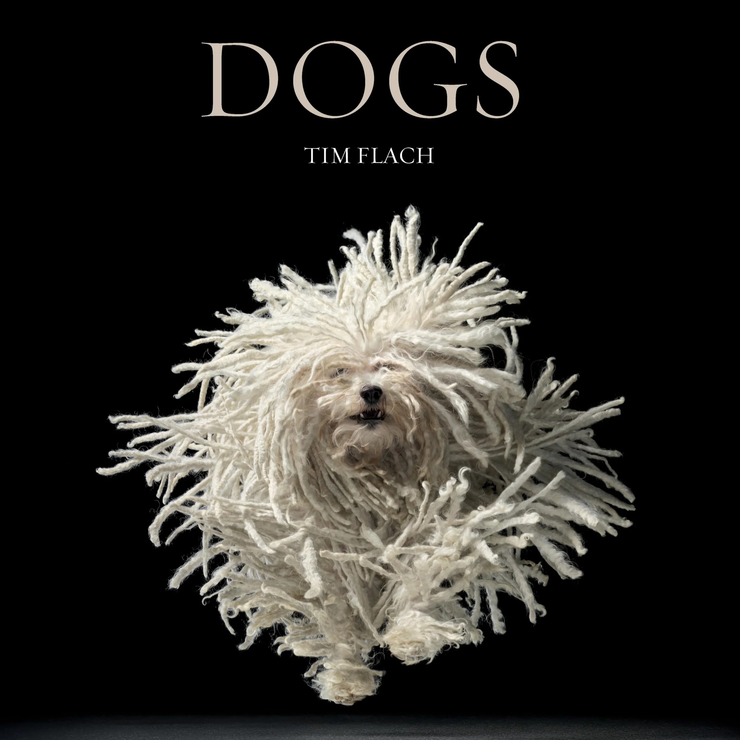 Dogs