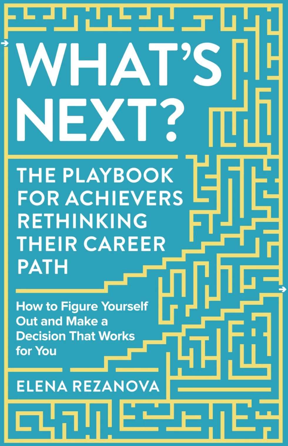 What's Next?: The Playbook for Achievers rethinking Their Career Path