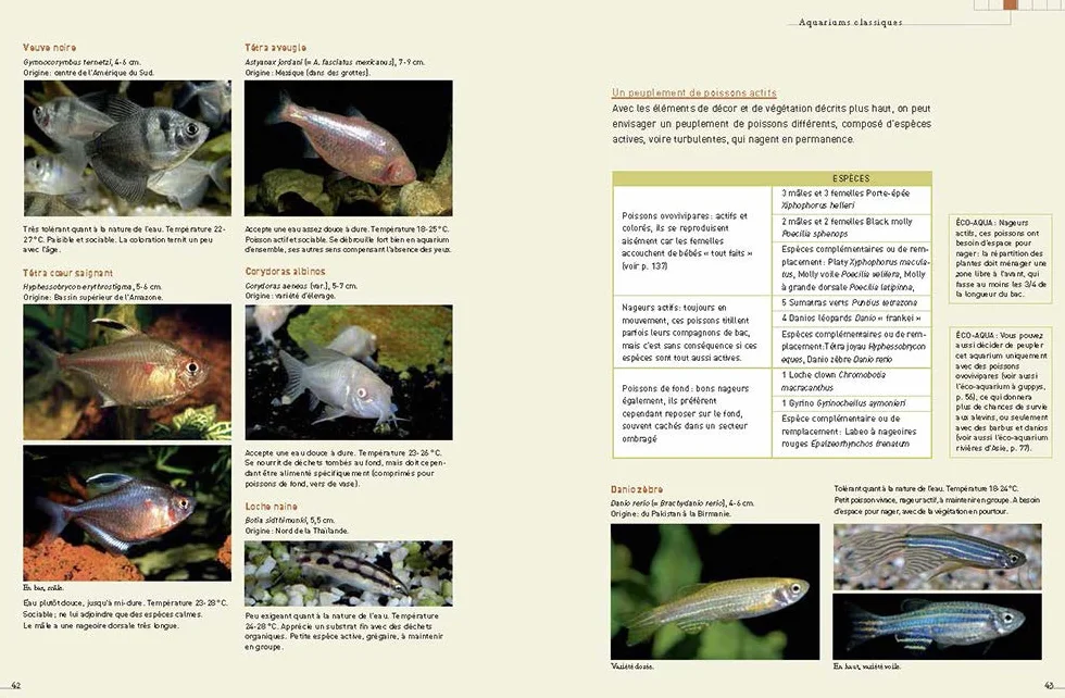 L'aquarium d'eau douce - Guide pratique du débutant