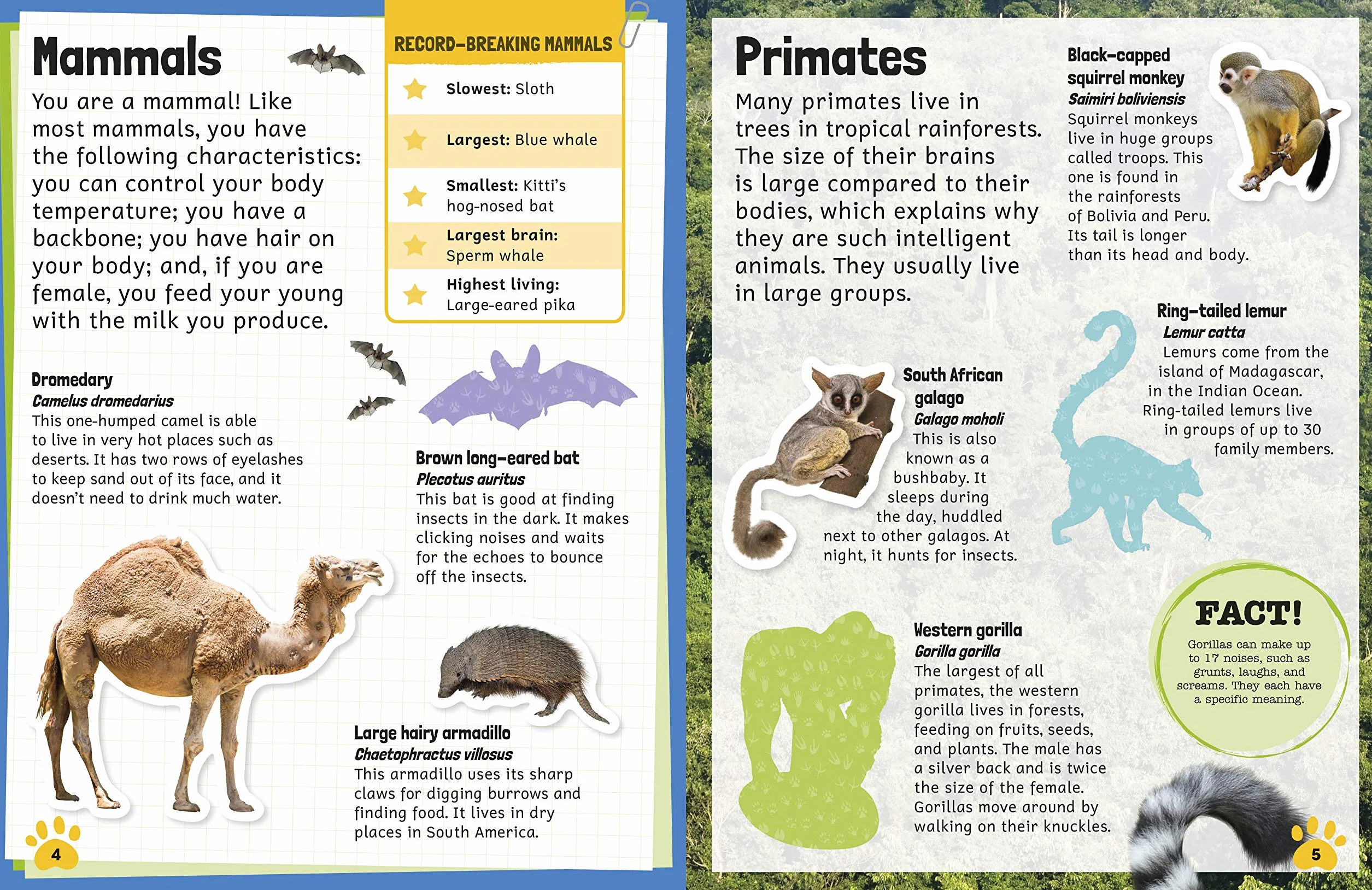 Sticker Encyclopedia Animals (Sticker Encyclopedias)