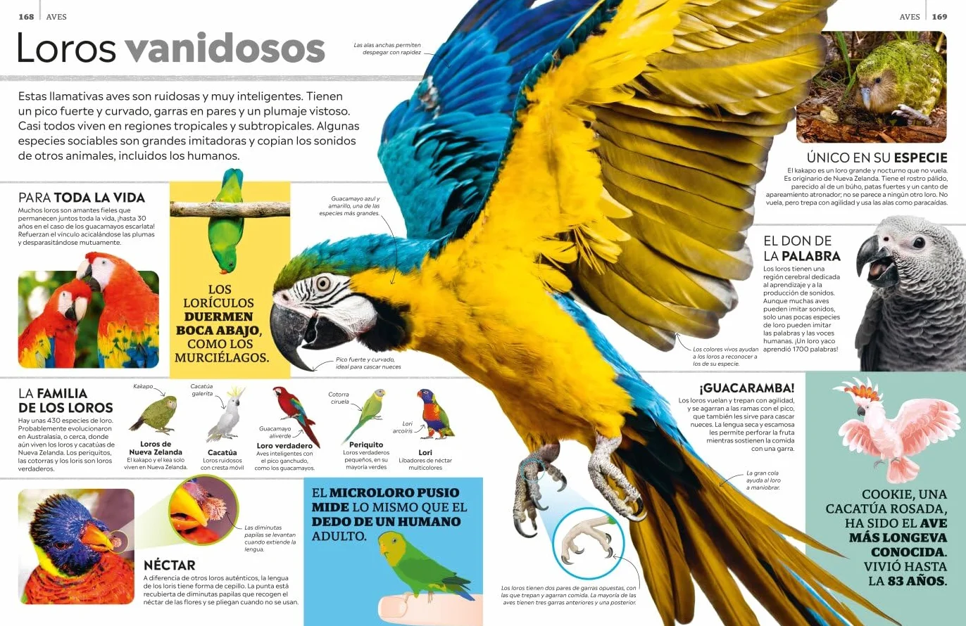 La superenciclopedia de los animales: Invertebrados | Peces | Anfibios | Reptiles | Mamíferos