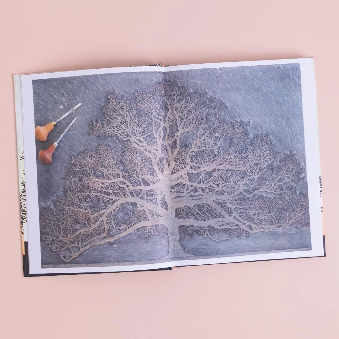 Trees in Winter: A Beautiful Book for Anyone Who Loves Printmaking and Nature