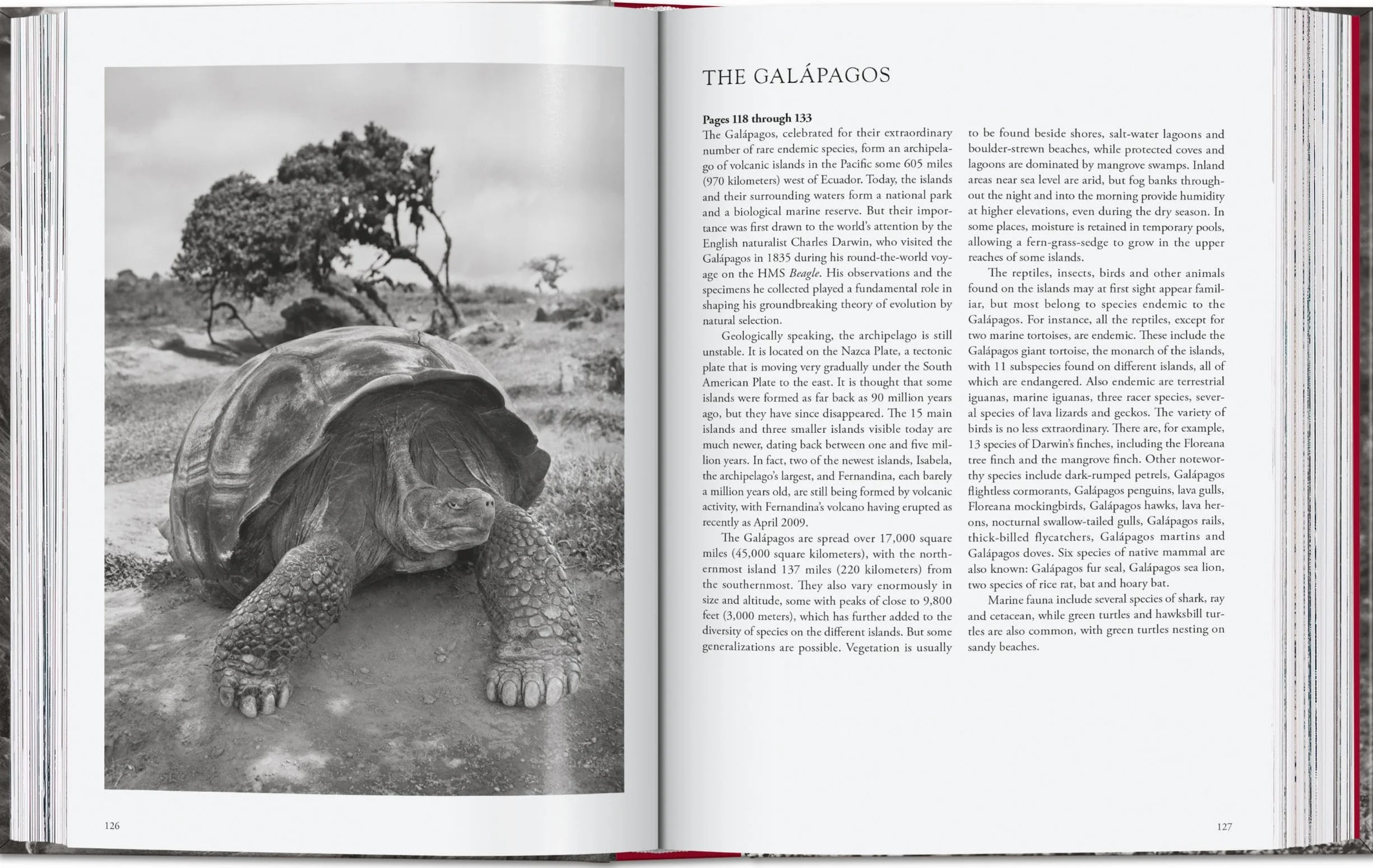 Sebastião Salgado. Genesis. 45th Ed.