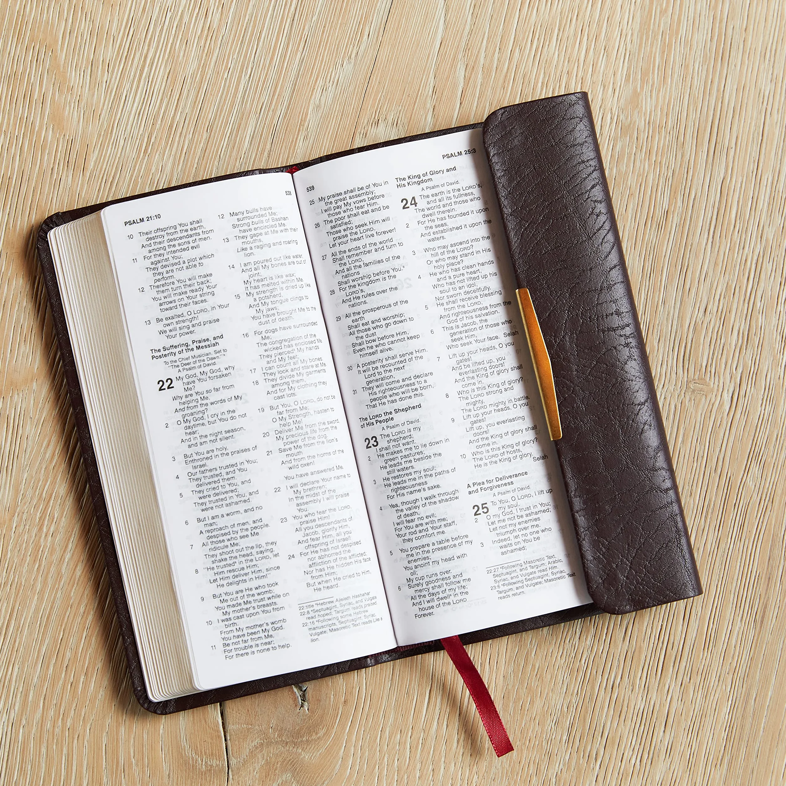 Classic Companion Bible-NKJV-Snap Flap: Holy Bible, New King James Version