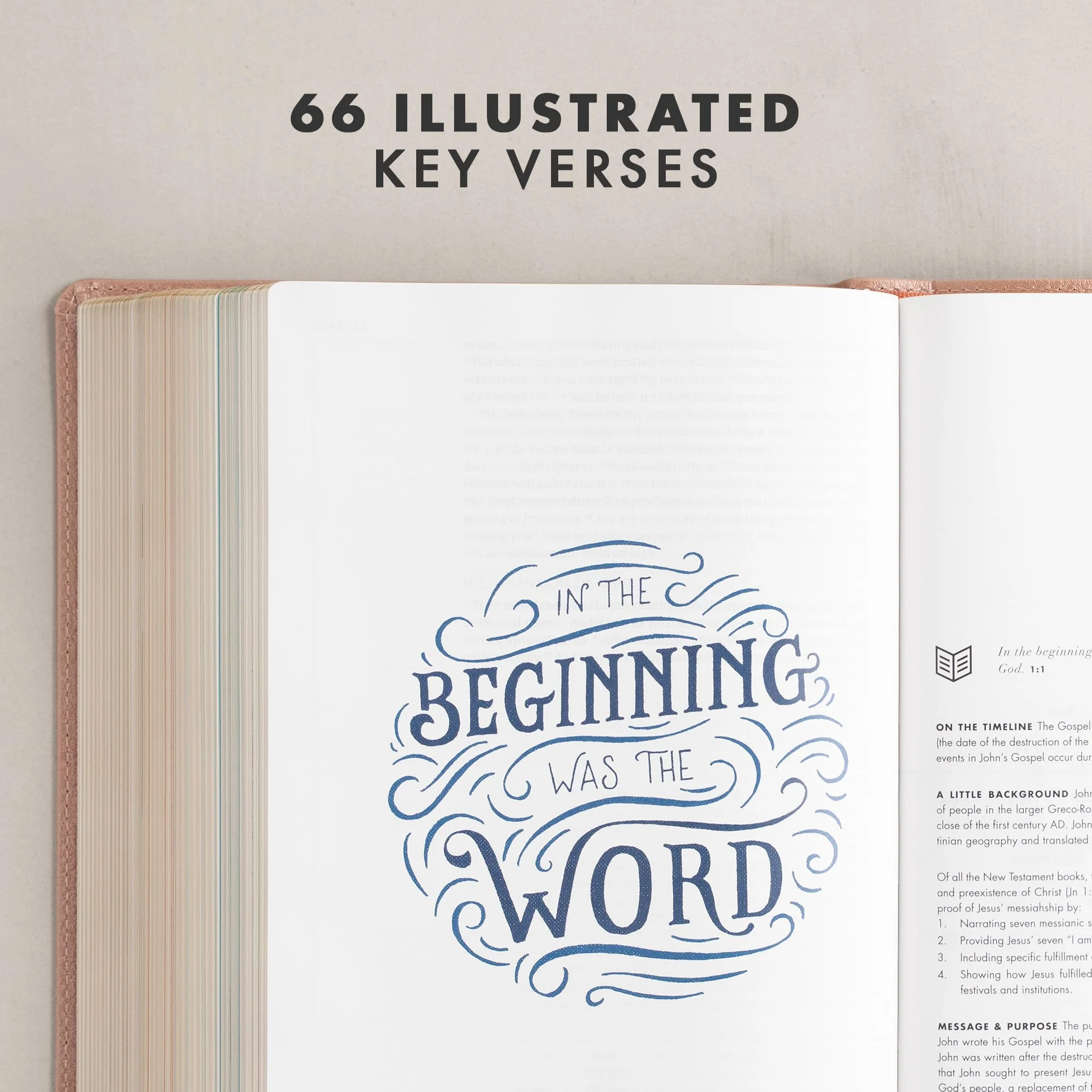 CSB She Reads Truth Bible, Rose Gold Leathertouch: Notetaking Space, Devotionals, Reading Plans, Easy-To-Read Font