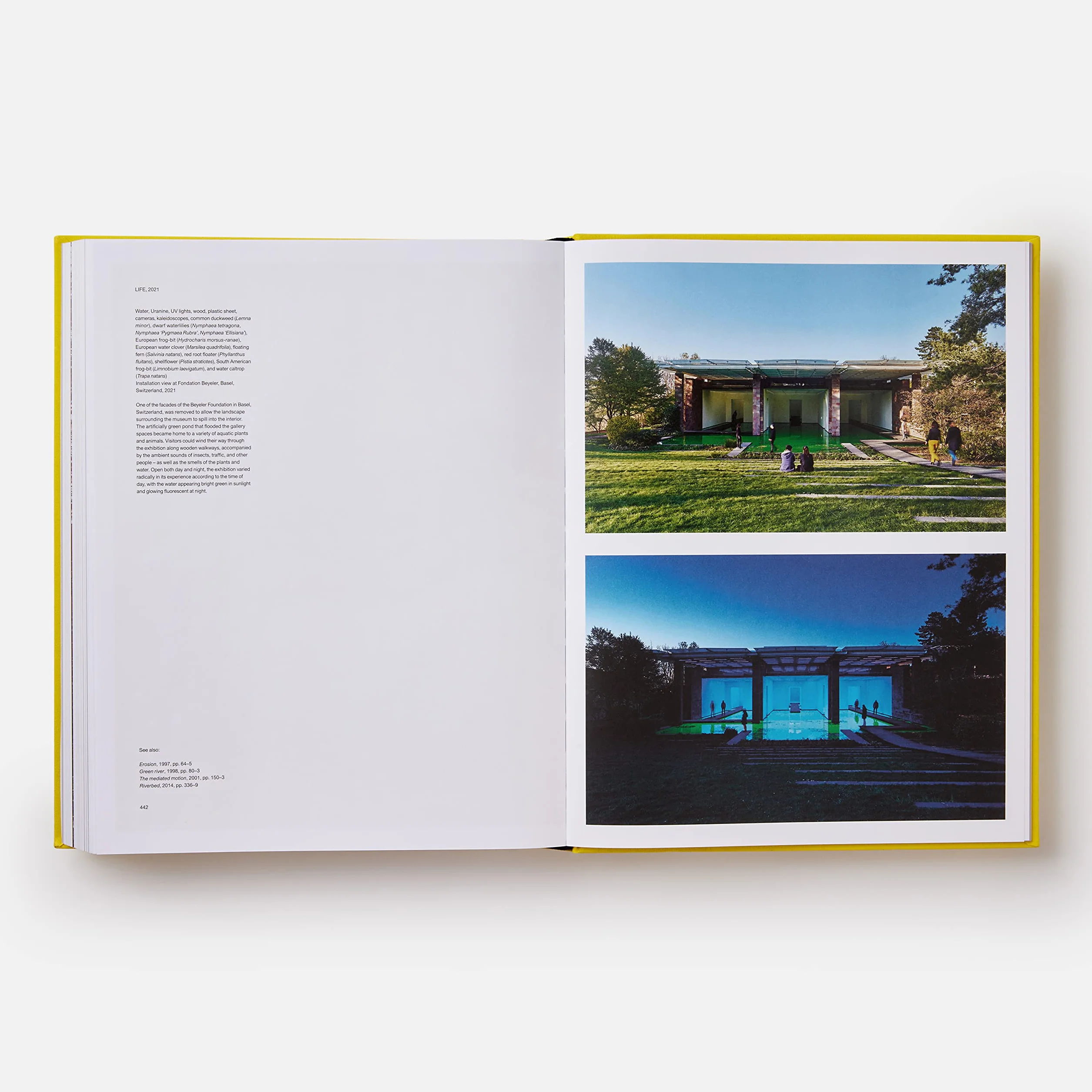 Olafur Eliasson: Experience: Revised and Expanded Edition