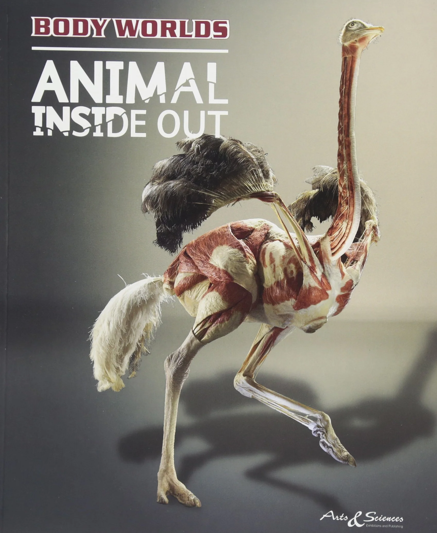 Body Worlds - Animal Inside Out (EN)
