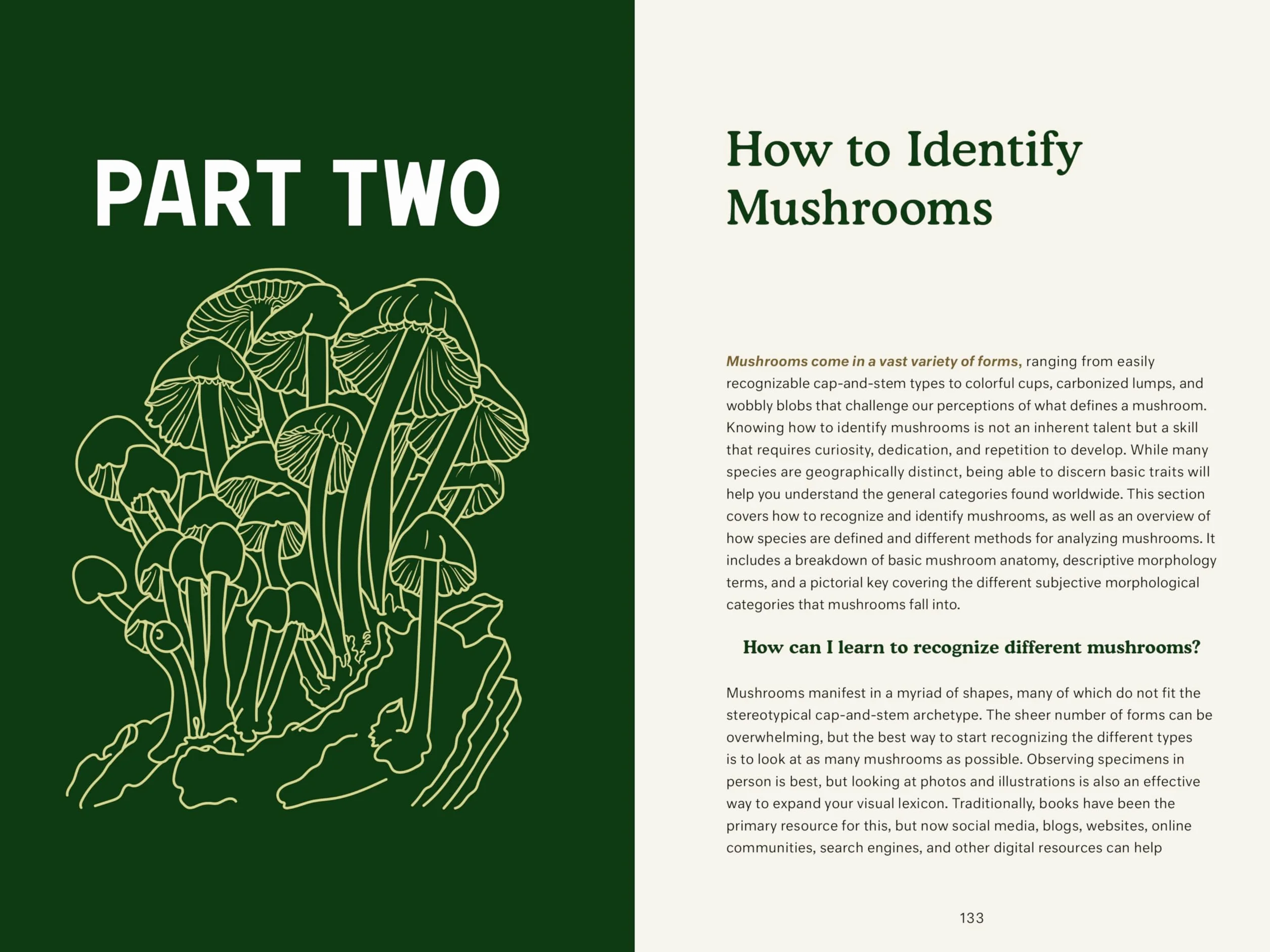 Dr. Fun Guy's Passport to Kingdom Fungi: A Scientist's Guide to the Wild and Wonderful World of Mushrooms, Molds, and More