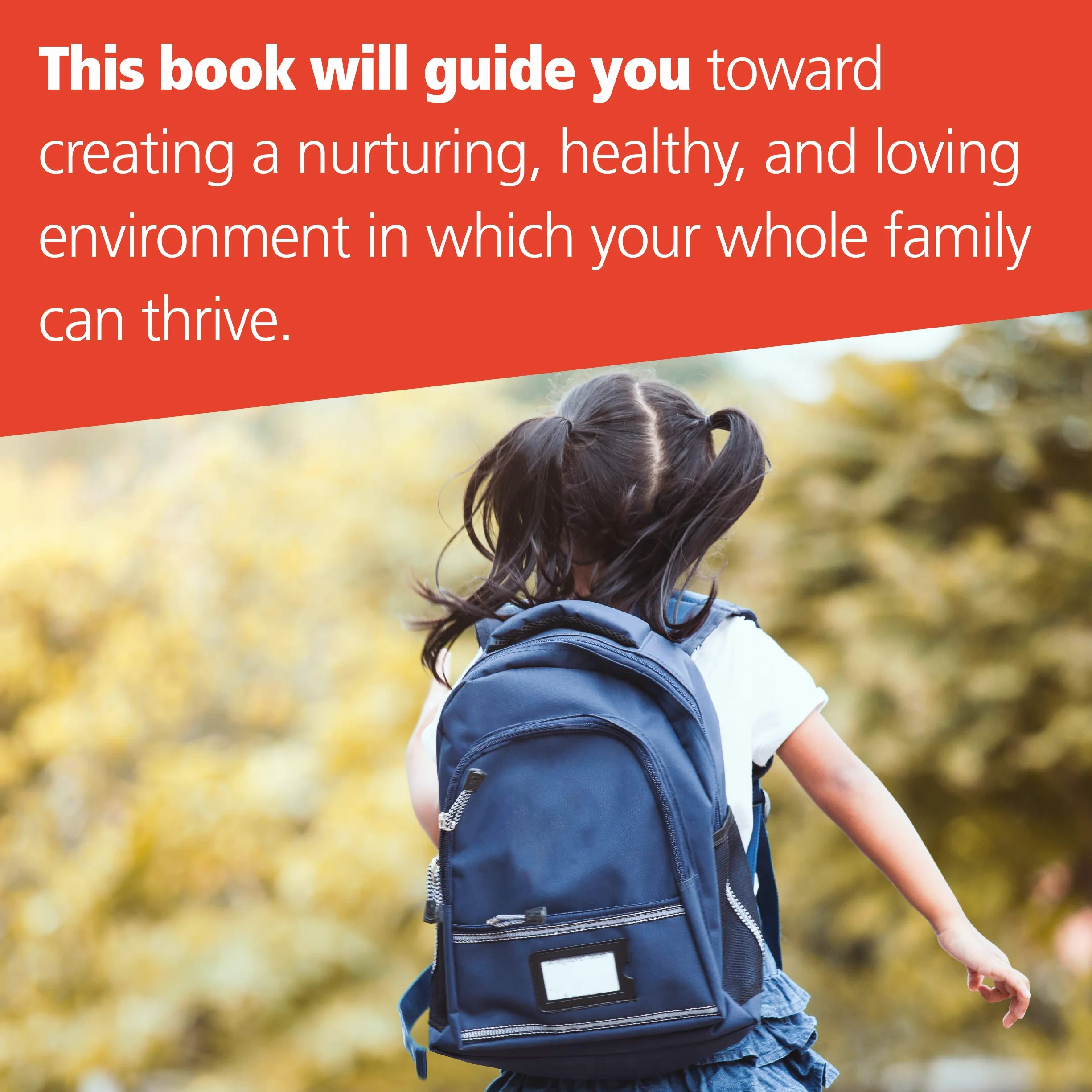 The Uncontrollable Child: Understand and Manage Your Child's Disruptive Moods with Dialectical Behavior Therapy Skills