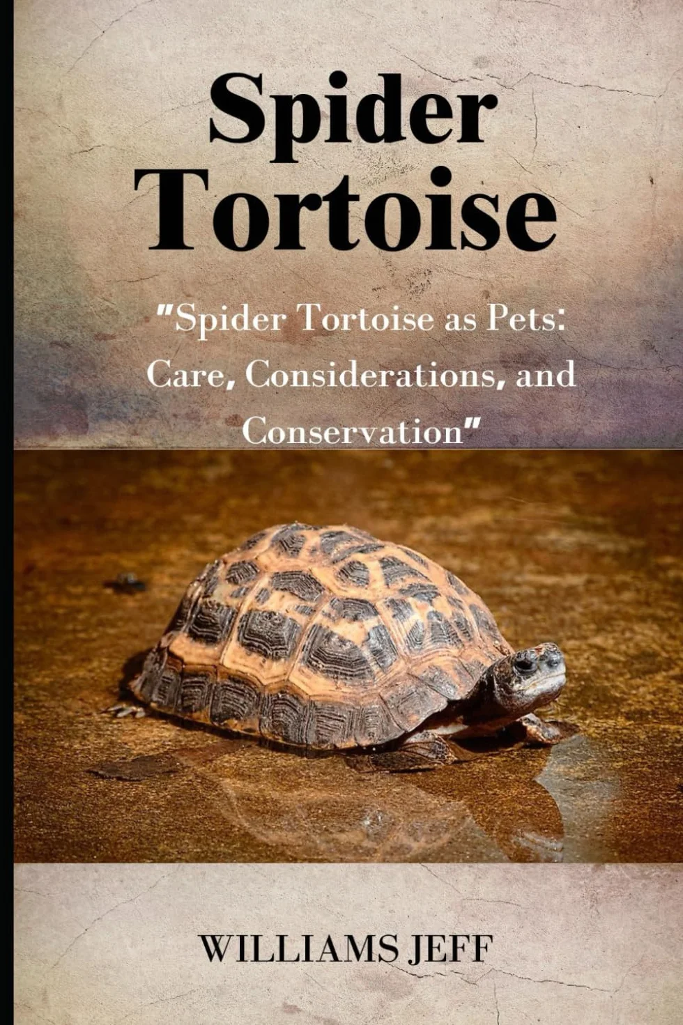 Spider Tortoises: "Spider Tortoise as Pets: Care, Considerations, and Conservation”