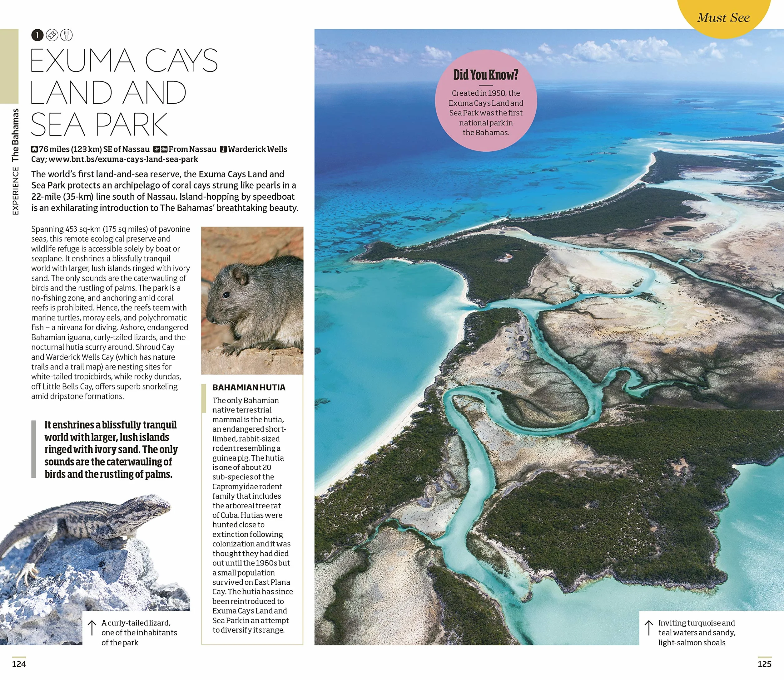 DK Eyewitness Caribbean: Must-See Sights. Culture & History. Detailed Maps & Tours. Covers Dominican Republic, Bahamas, & mor