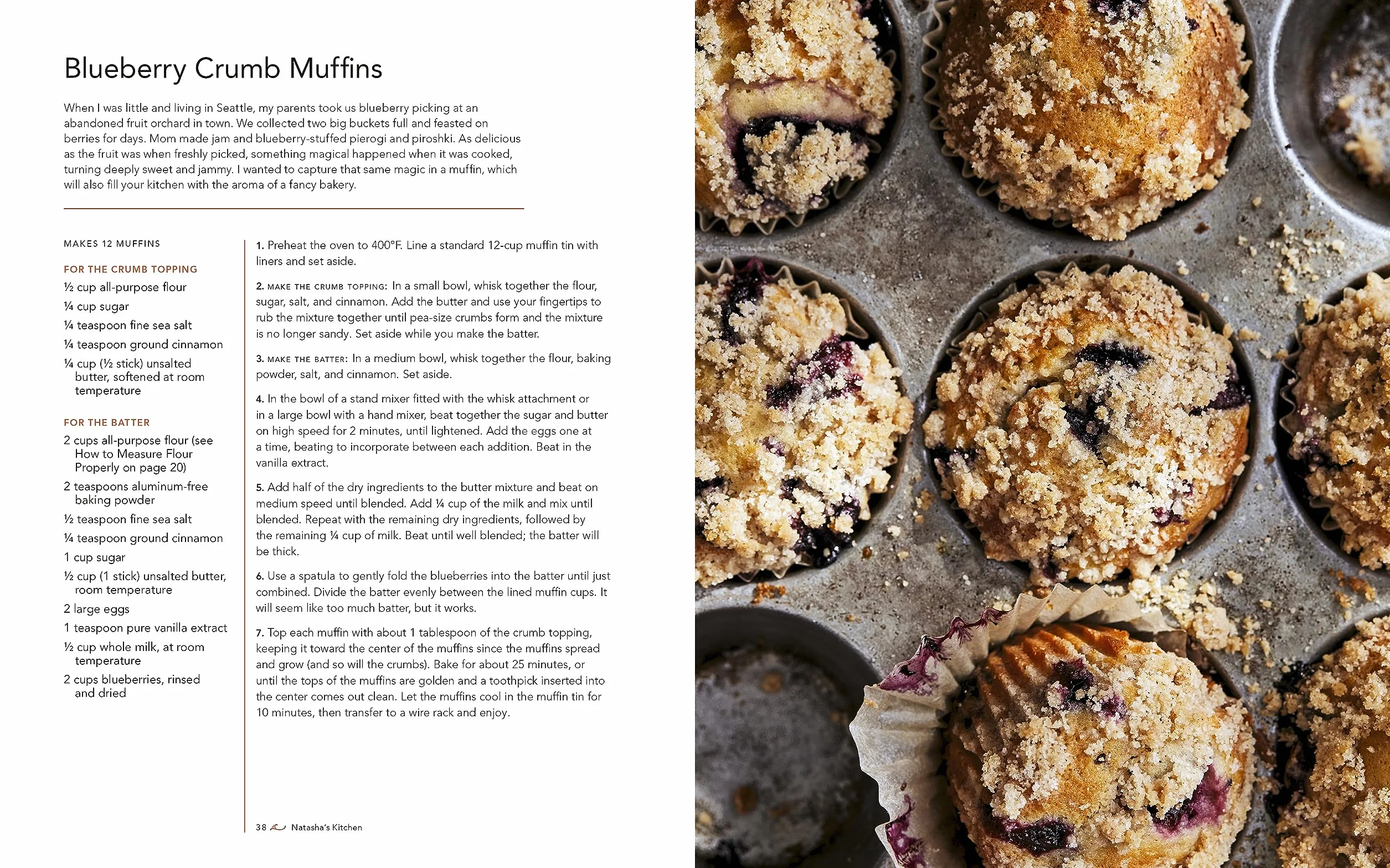 Natasha's Kitchen: 100+ Easy Family-Favorite Recipes You'll Make Again and Again: A Cookbook