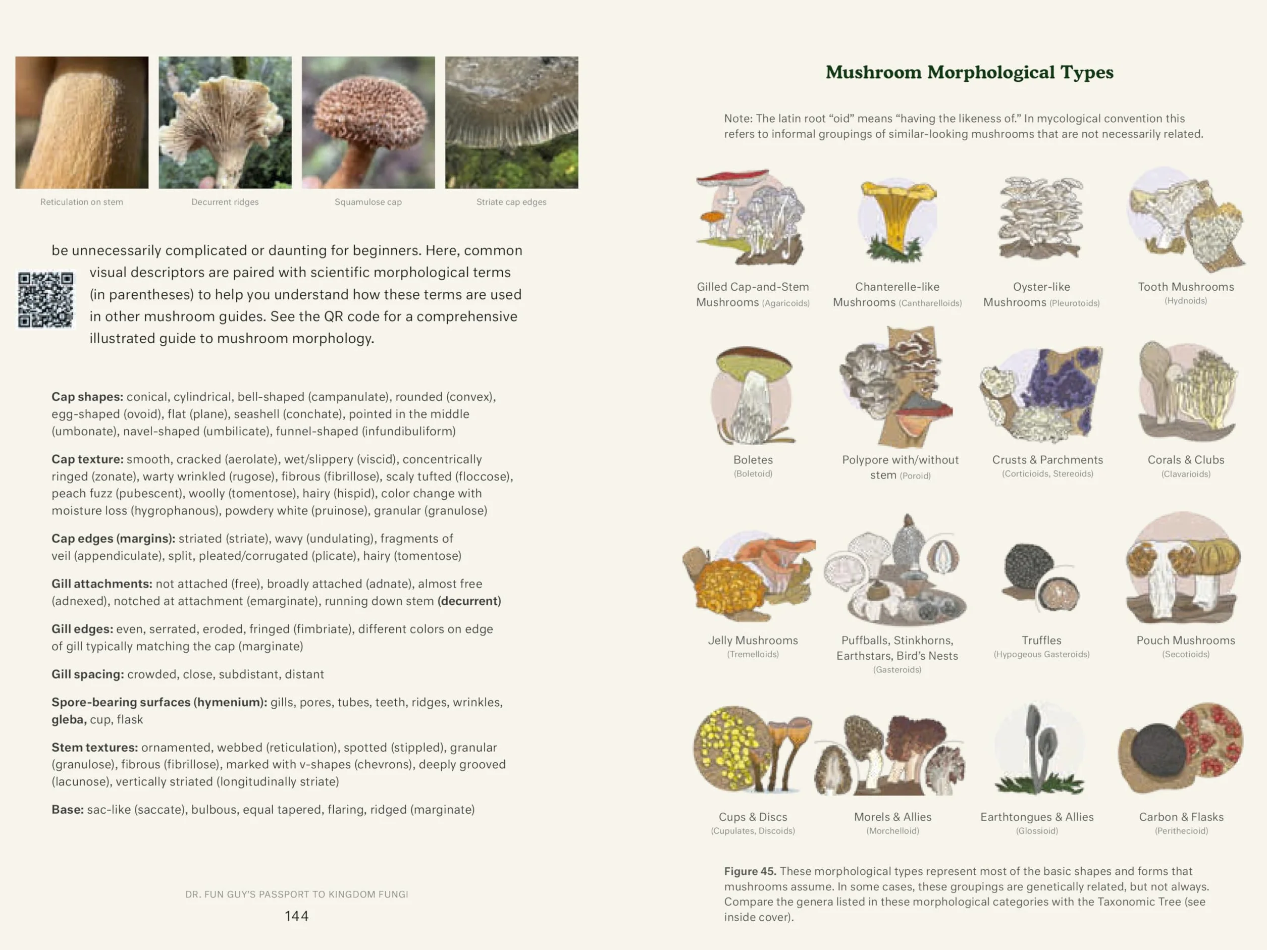 Dr. Fun Guy's Passport to Kingdom Fungi: A Scientist's Guide to the Wild and Wonderful World of Mushrooms, Molds, and More