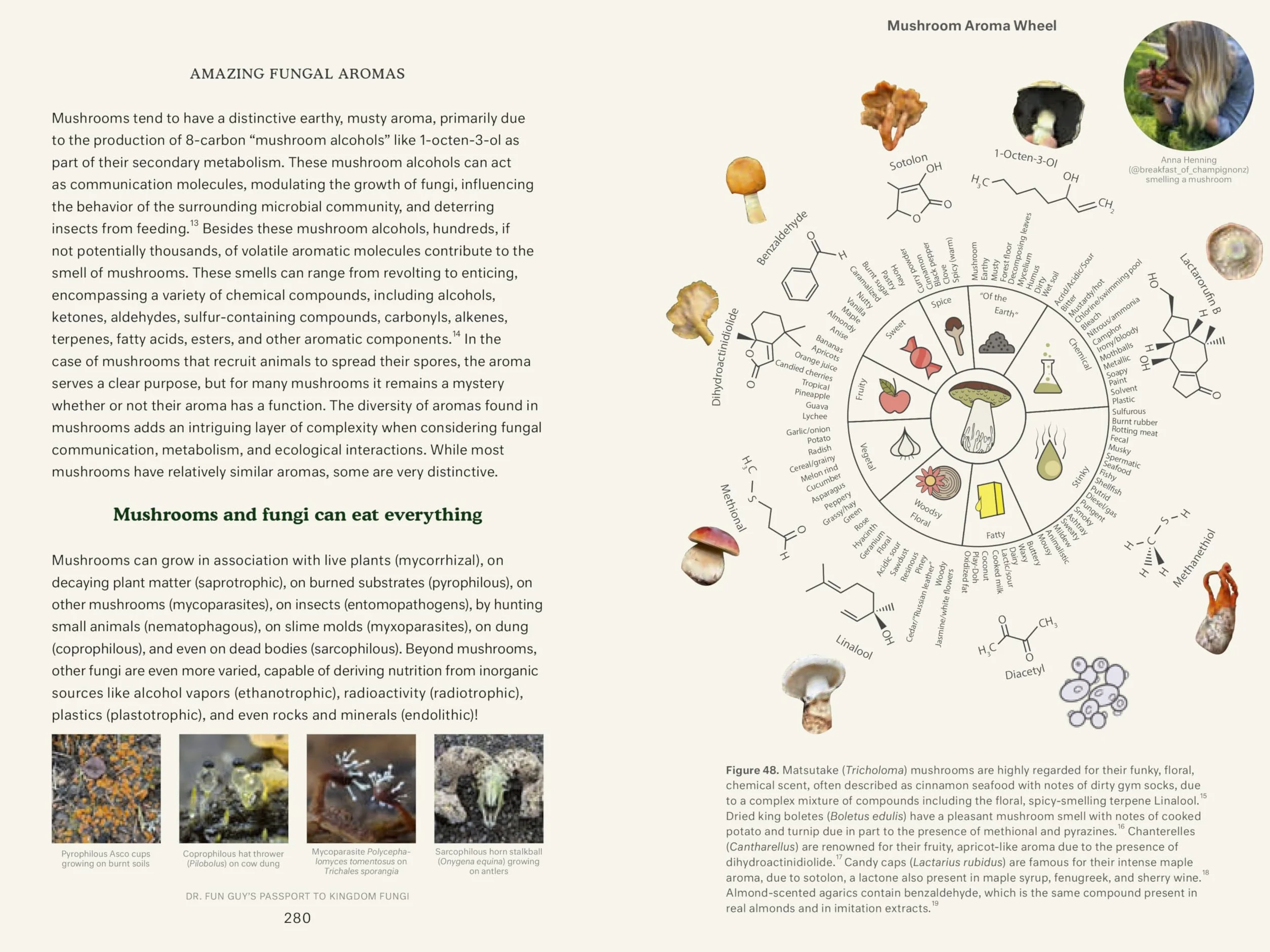 Dr. Fun Guy's Passport to Kingdom Fungi: A Scientist's Guide to the Wild and Wonderful World of Mushrooms, Molds, and More