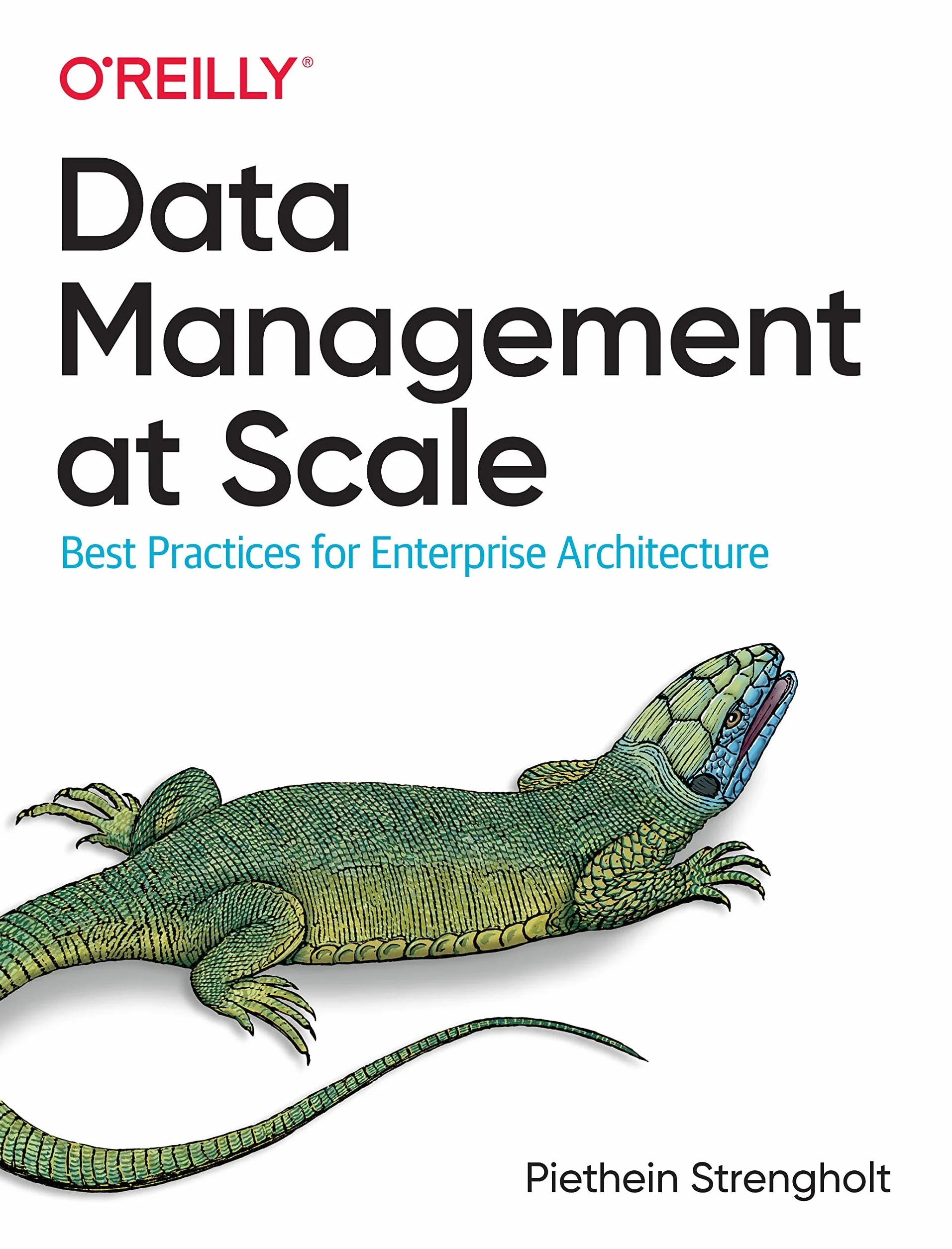 Data Management at Scale: Best Practices for Enterprise Architecture